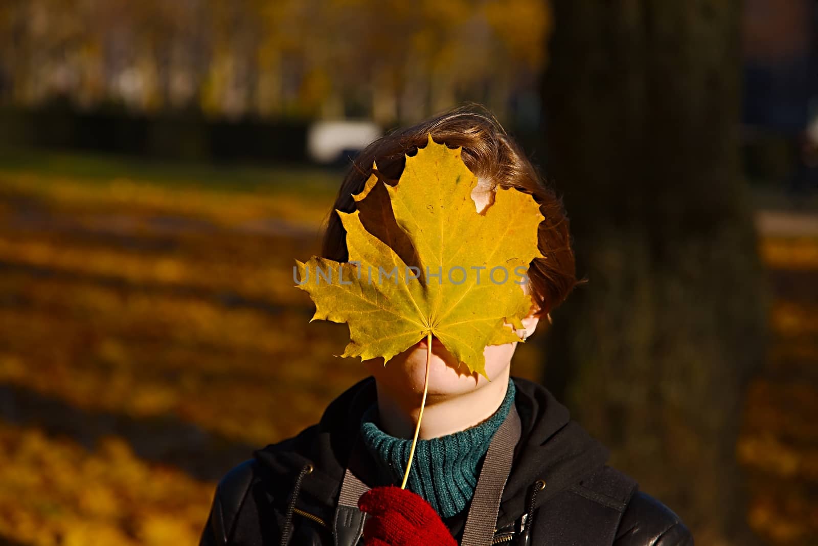 Playing with fallen autumn leaves