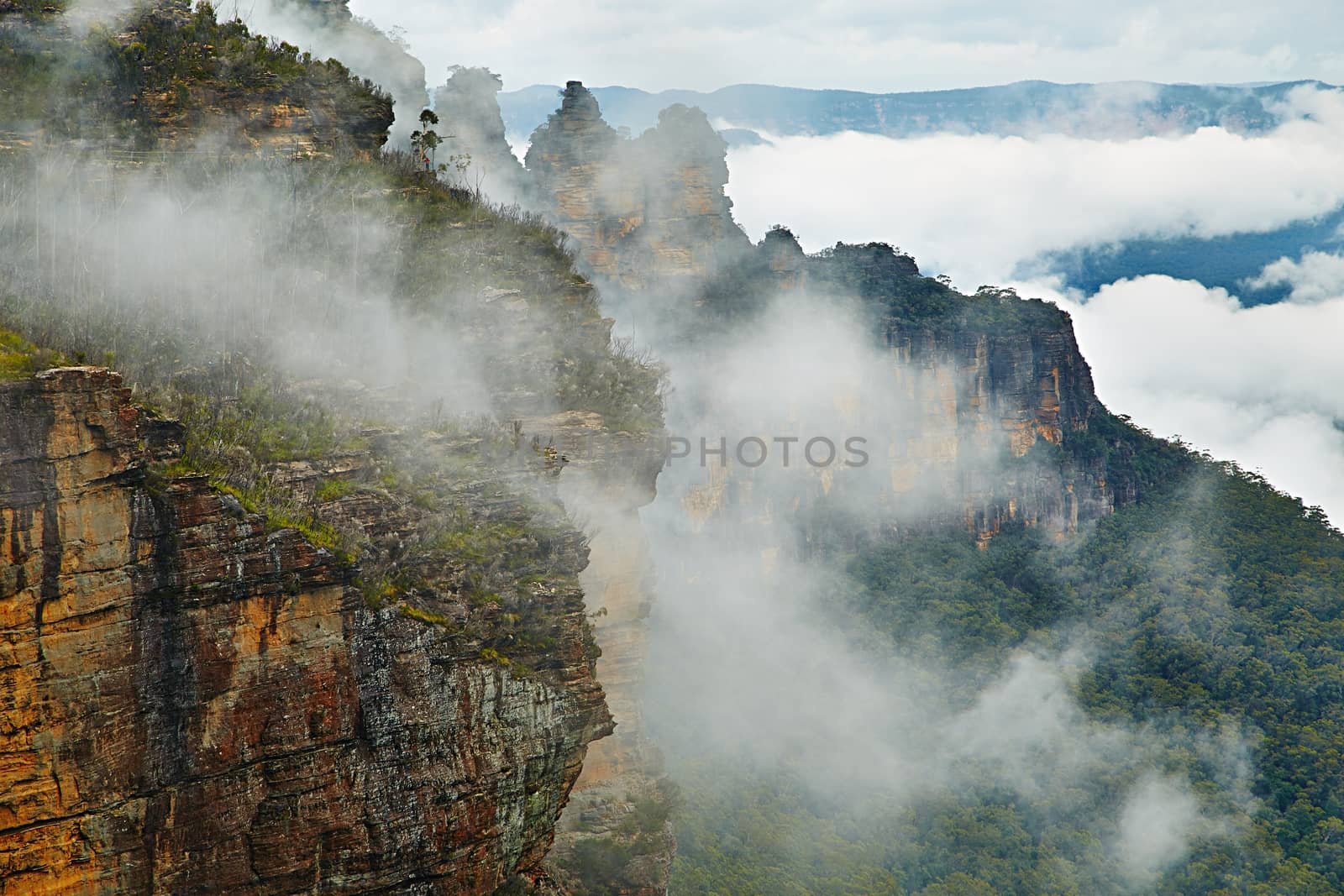 Mist rising in the Blue Mountains