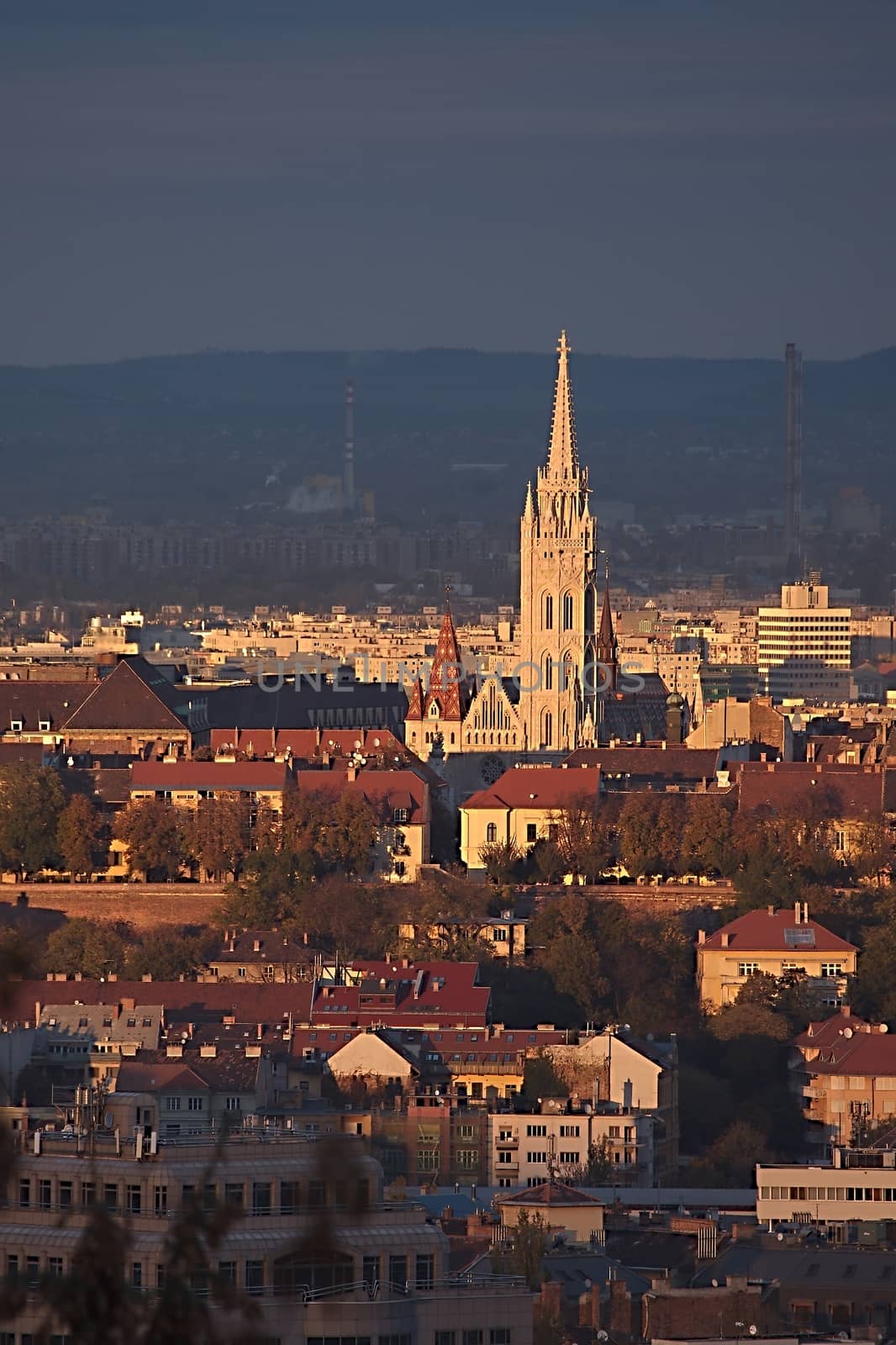 Budapest evening by Gudella