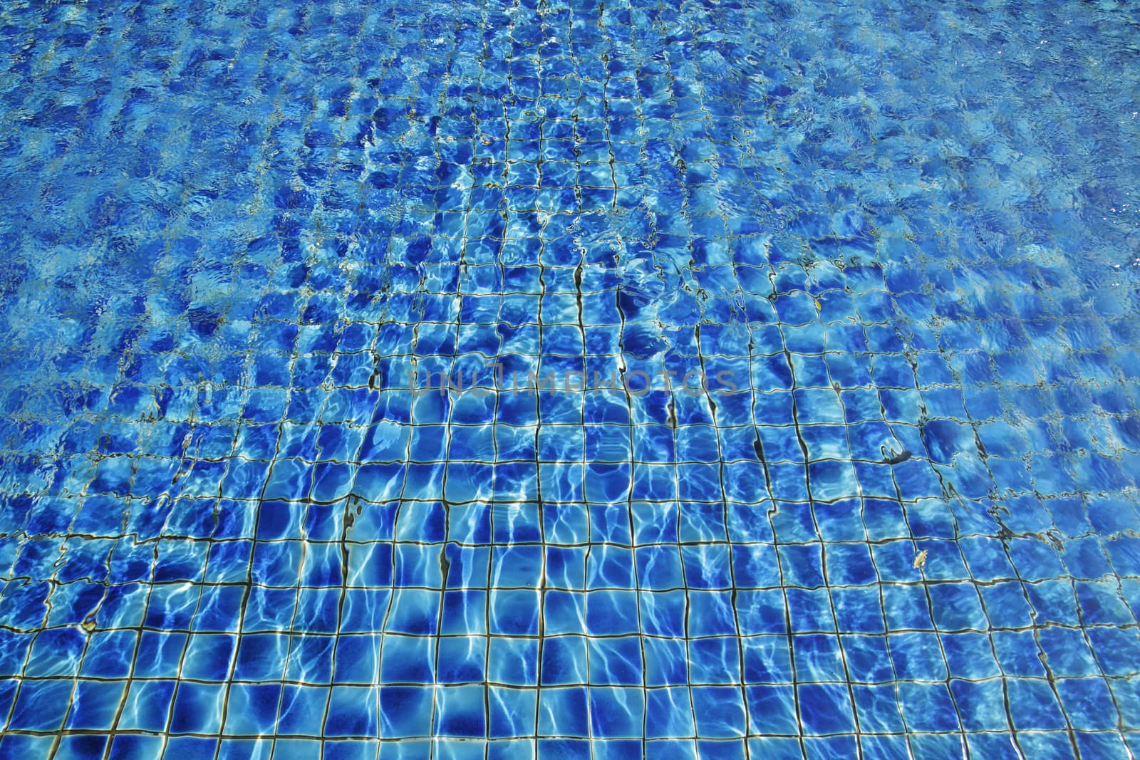 Swimming pool, Rippling water in a pool 