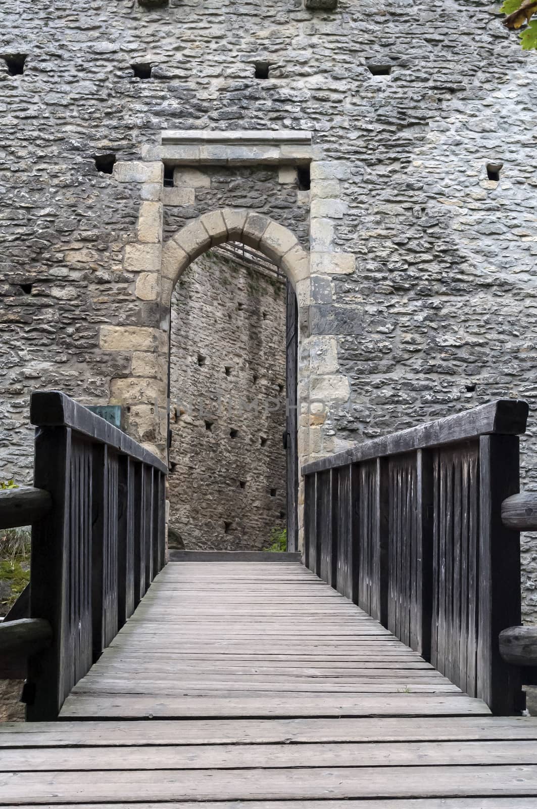 Entrance door to the Kokorin Castle, Czech Republic.