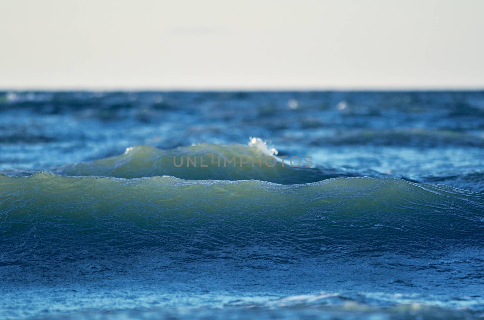 Splash wave on the surface of the ocean