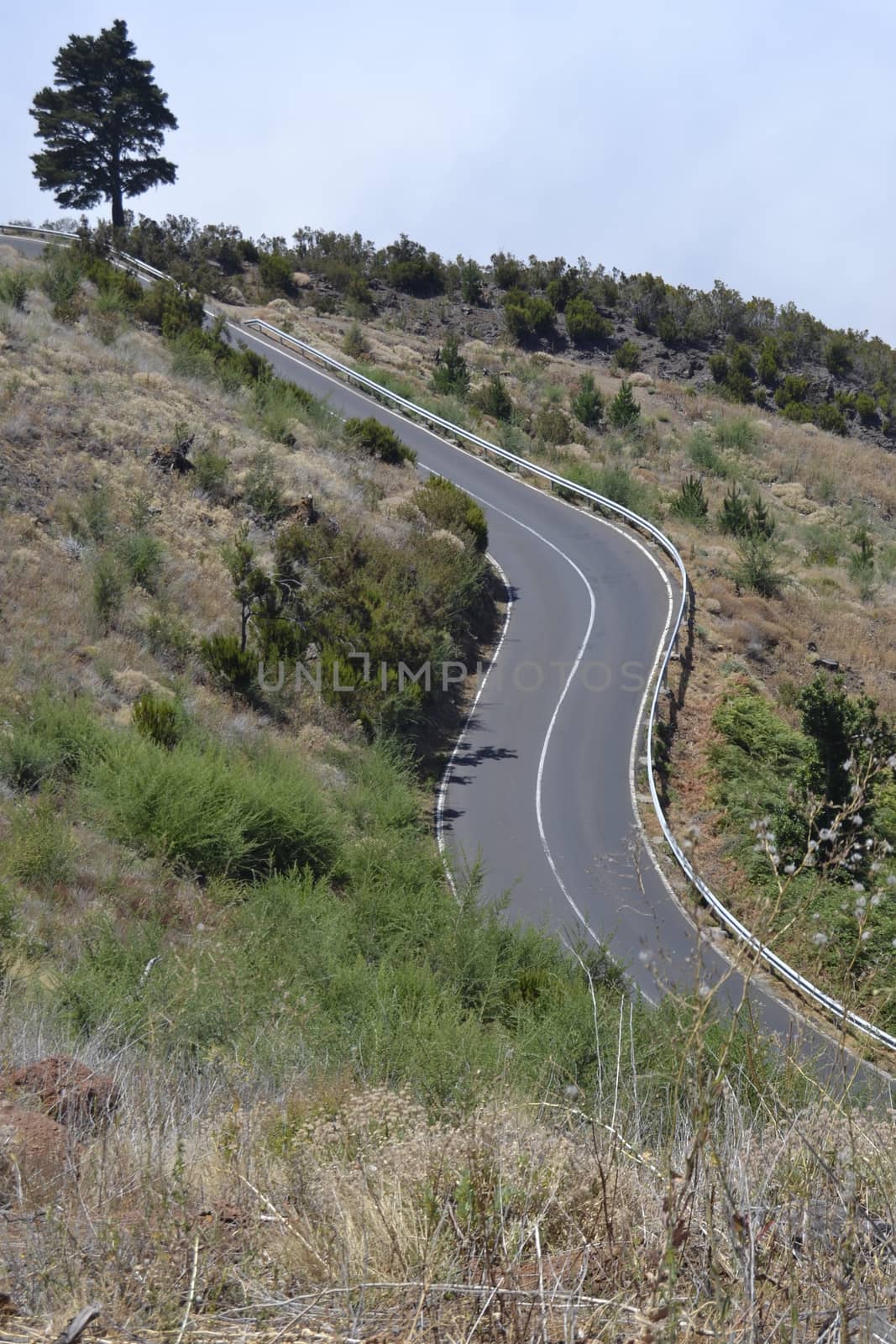 road to el Teide, Tenerife island, Spain