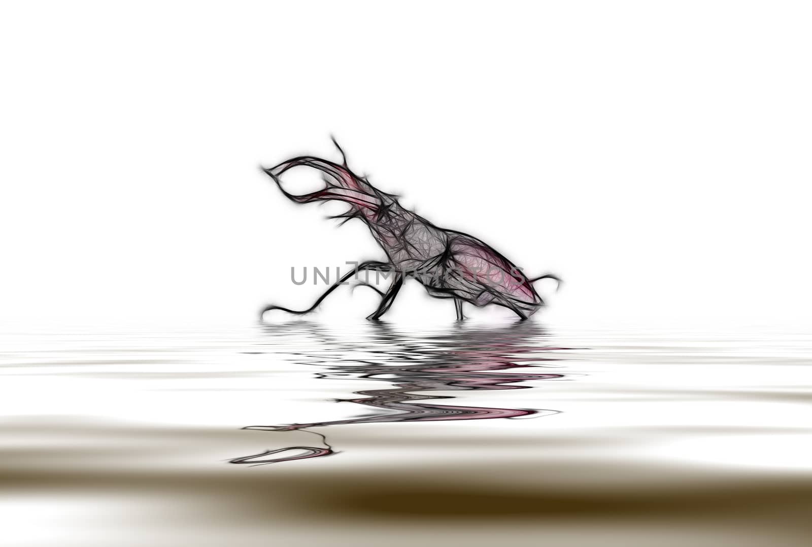 Abstraction as a rhinoceros beetle in defensive stance with reflection in water