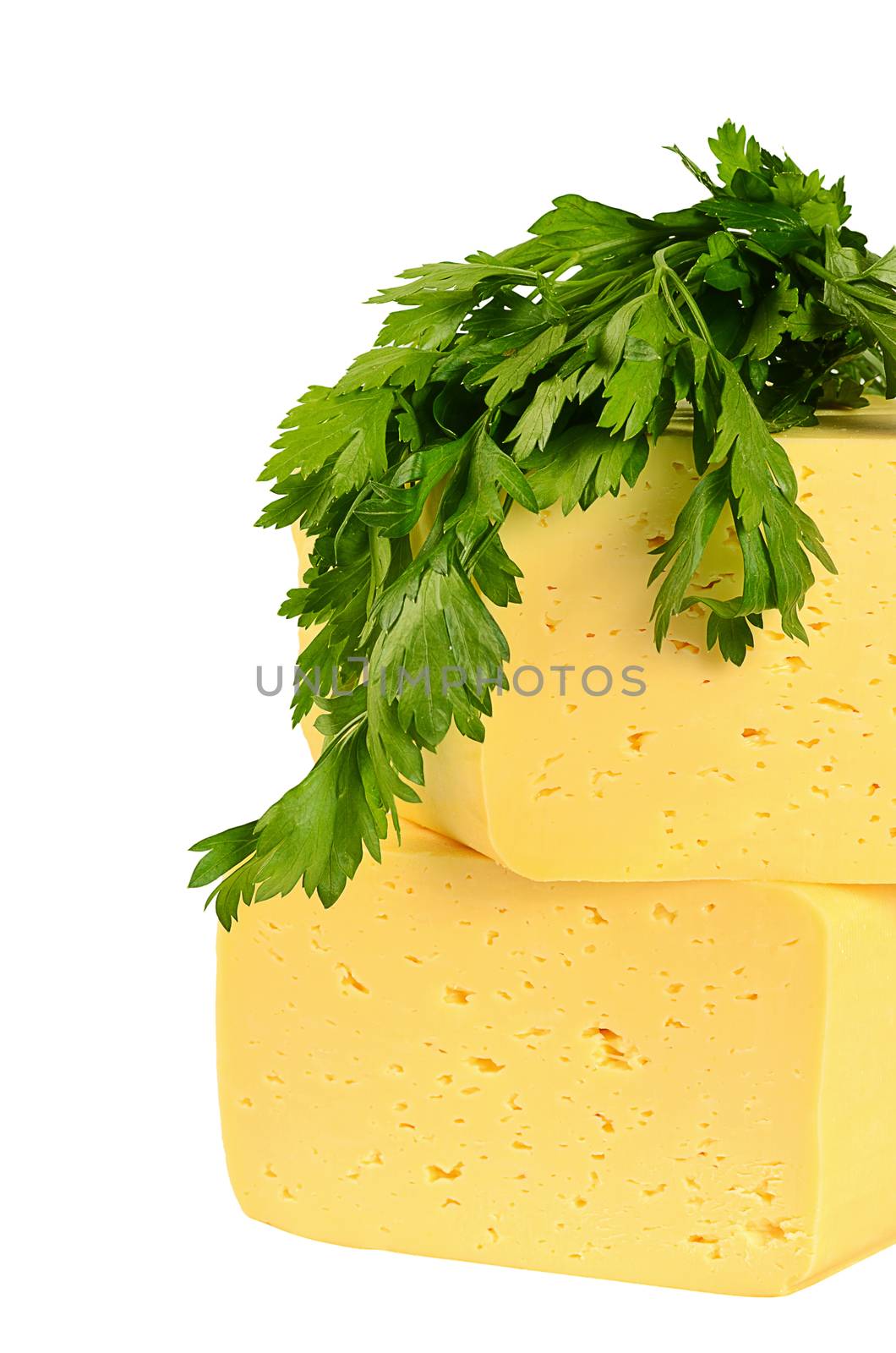 The fresh cheese isolated on white background