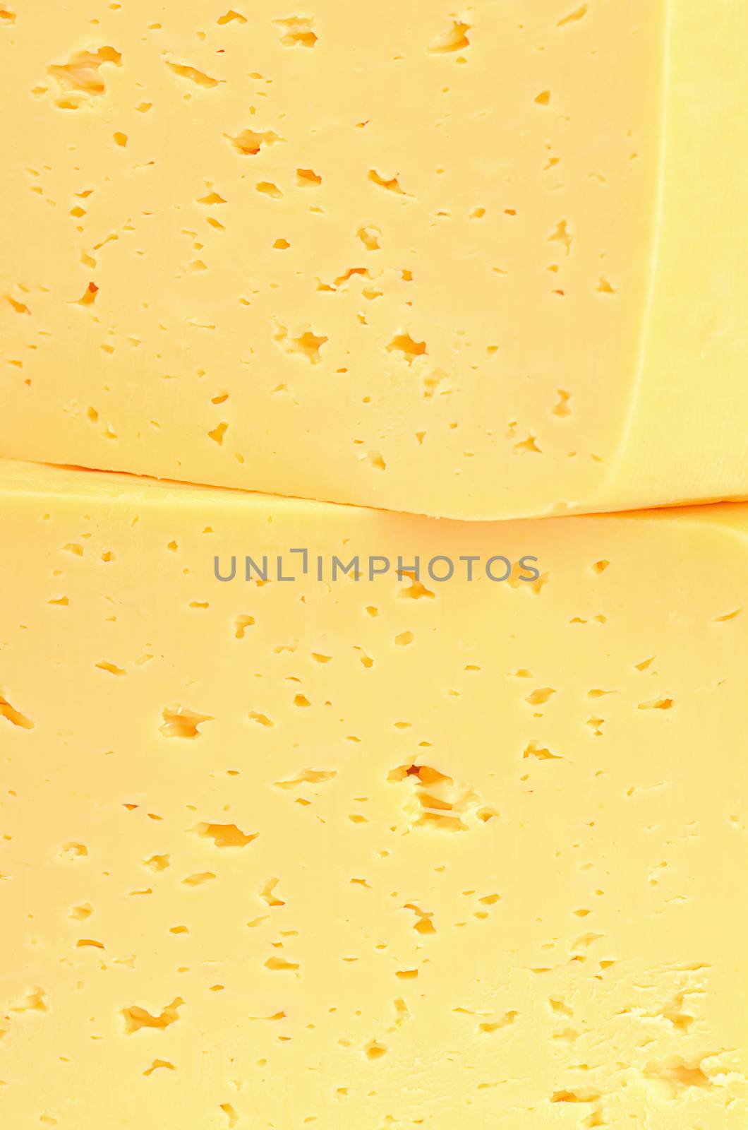 The fresh cheese isolated on white background