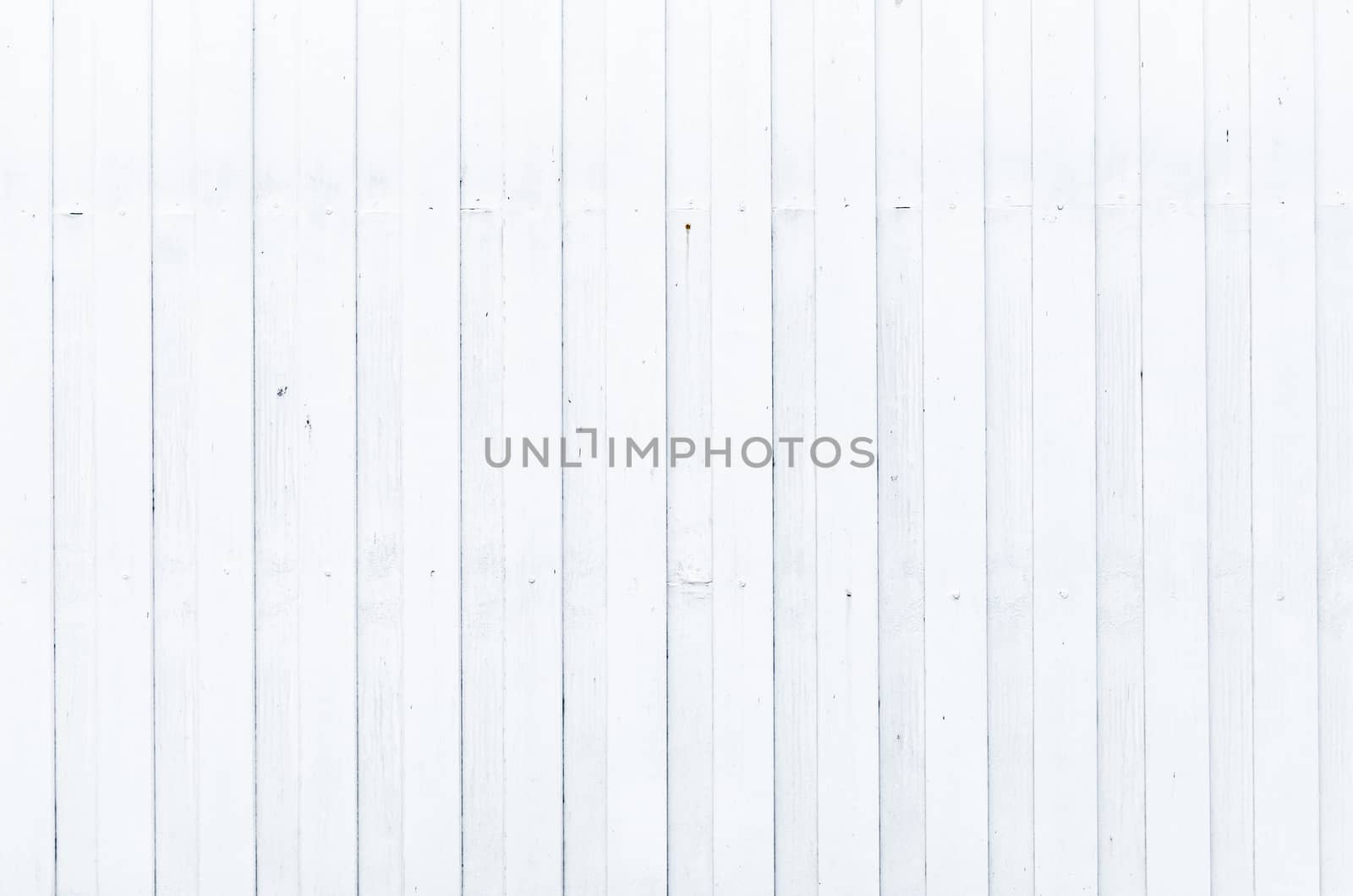 Wood pine plank white texture for background .