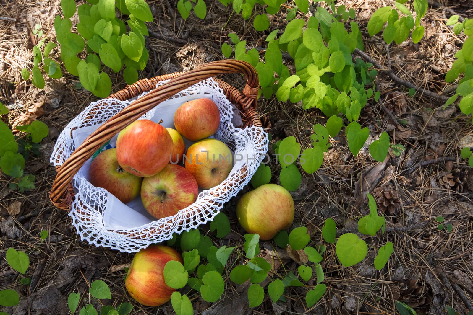 Fresh Apples in wicker basket by Slast20