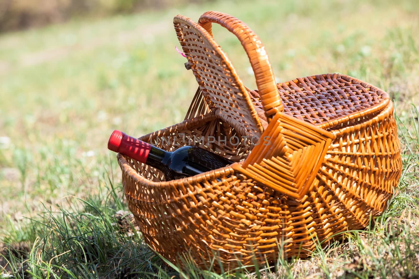 Picnic basket with bottle of red dry wine by Slast20