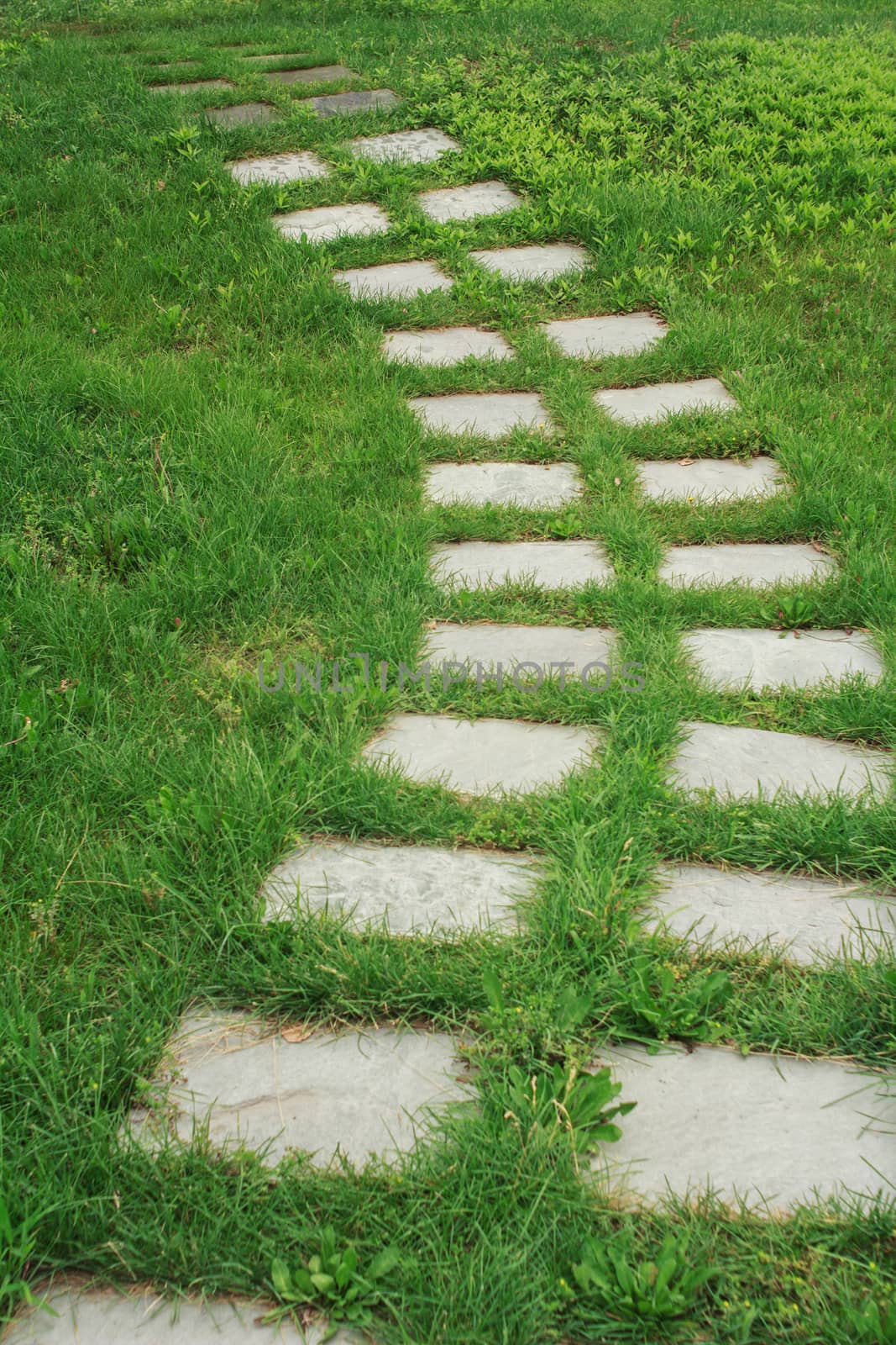 stone walkway on the grass in the park