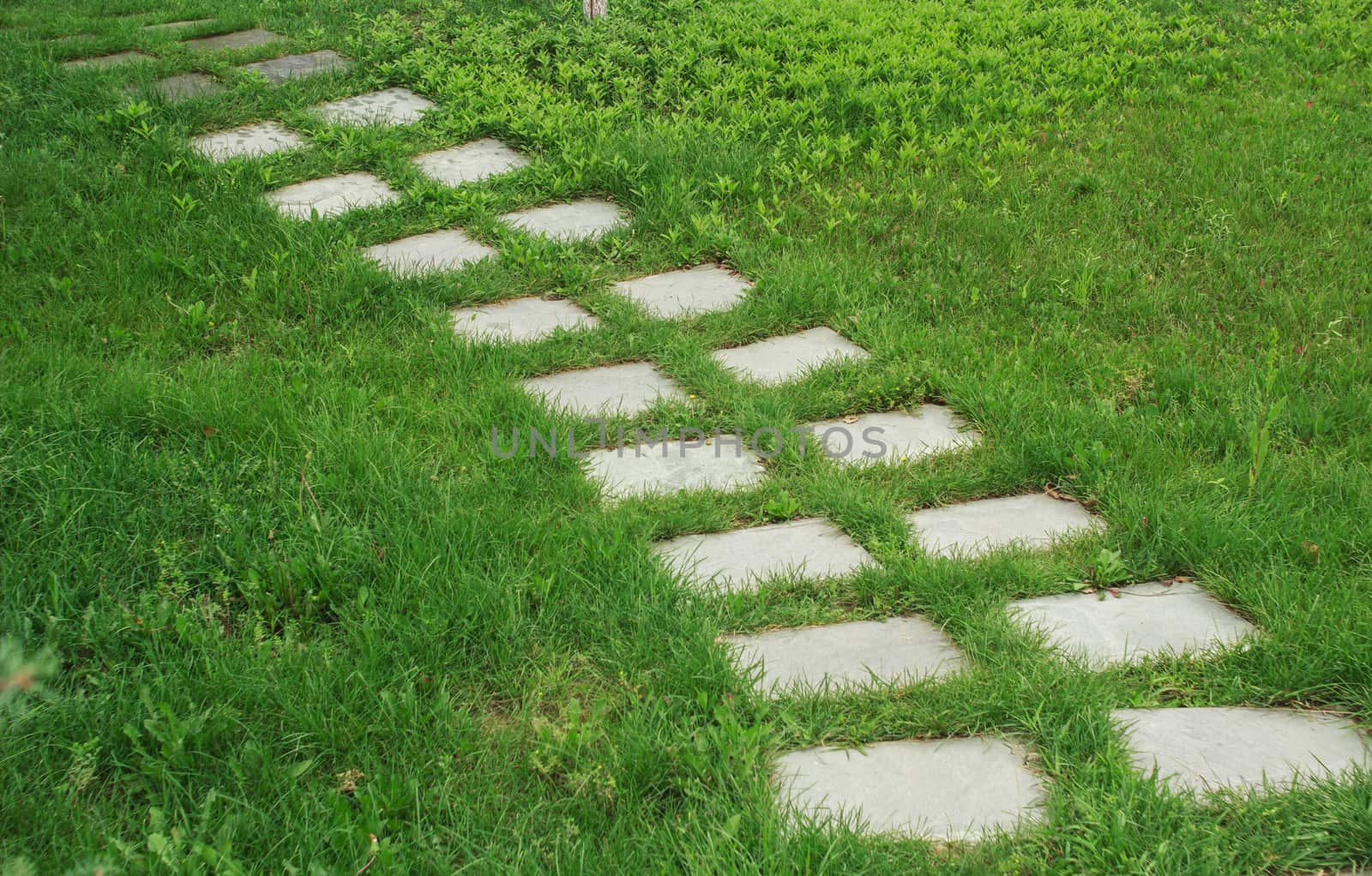 stone walkway on the grass in the park