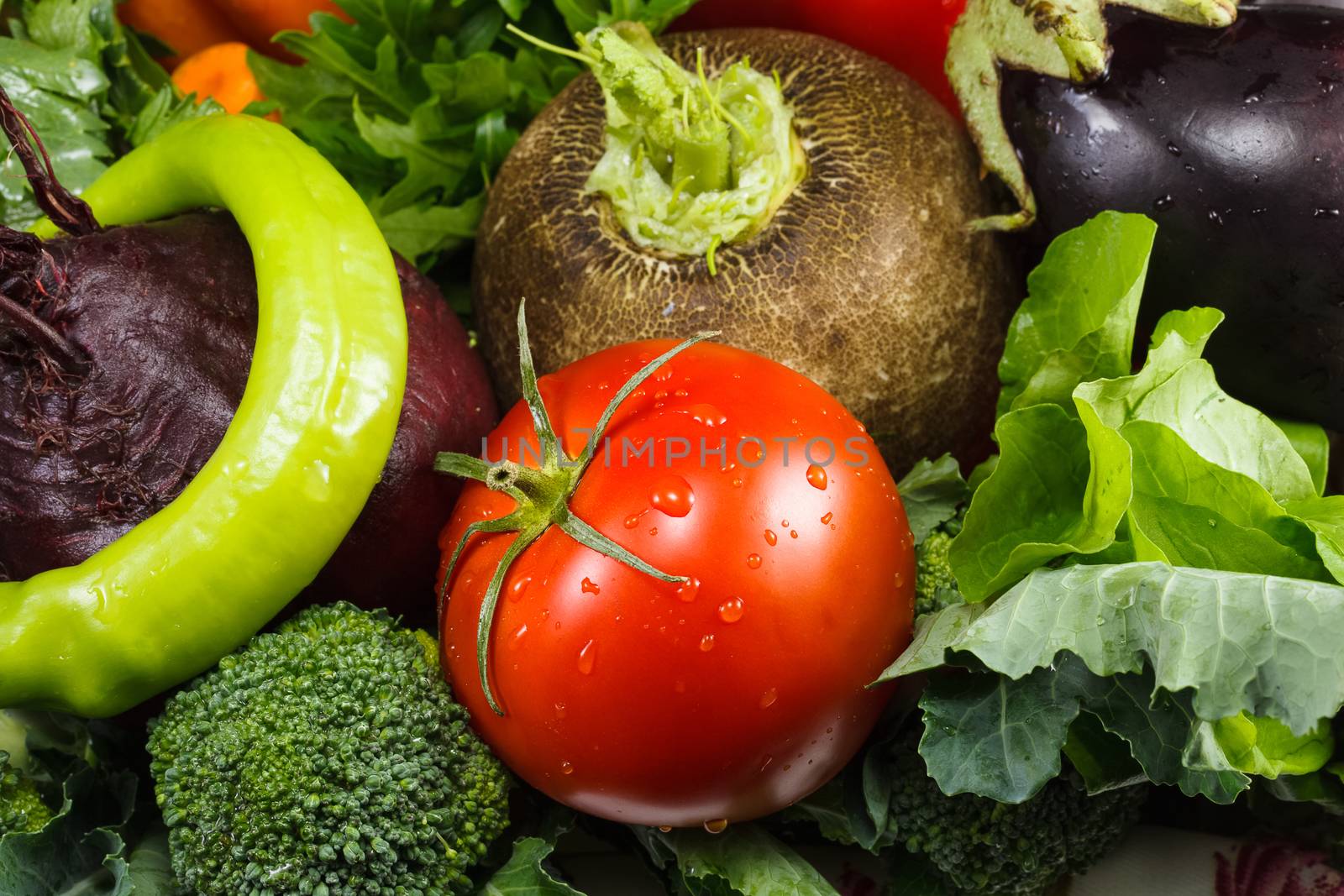 An assortment of mixed vegetables. Vegetables Background