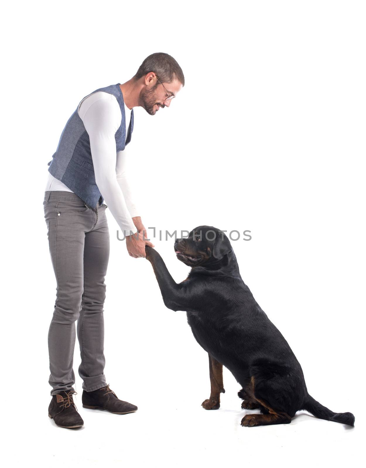 man and rottweiler in front of white background