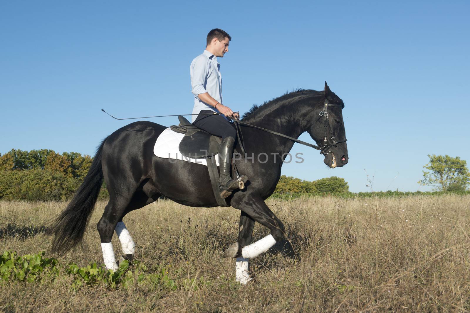 horseback riding by cynoclub