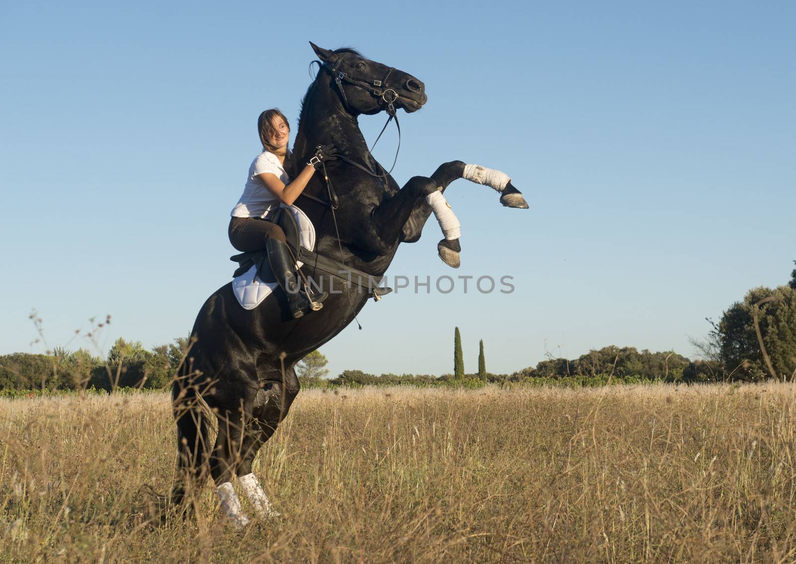 young girl riding a black stallion in the nature