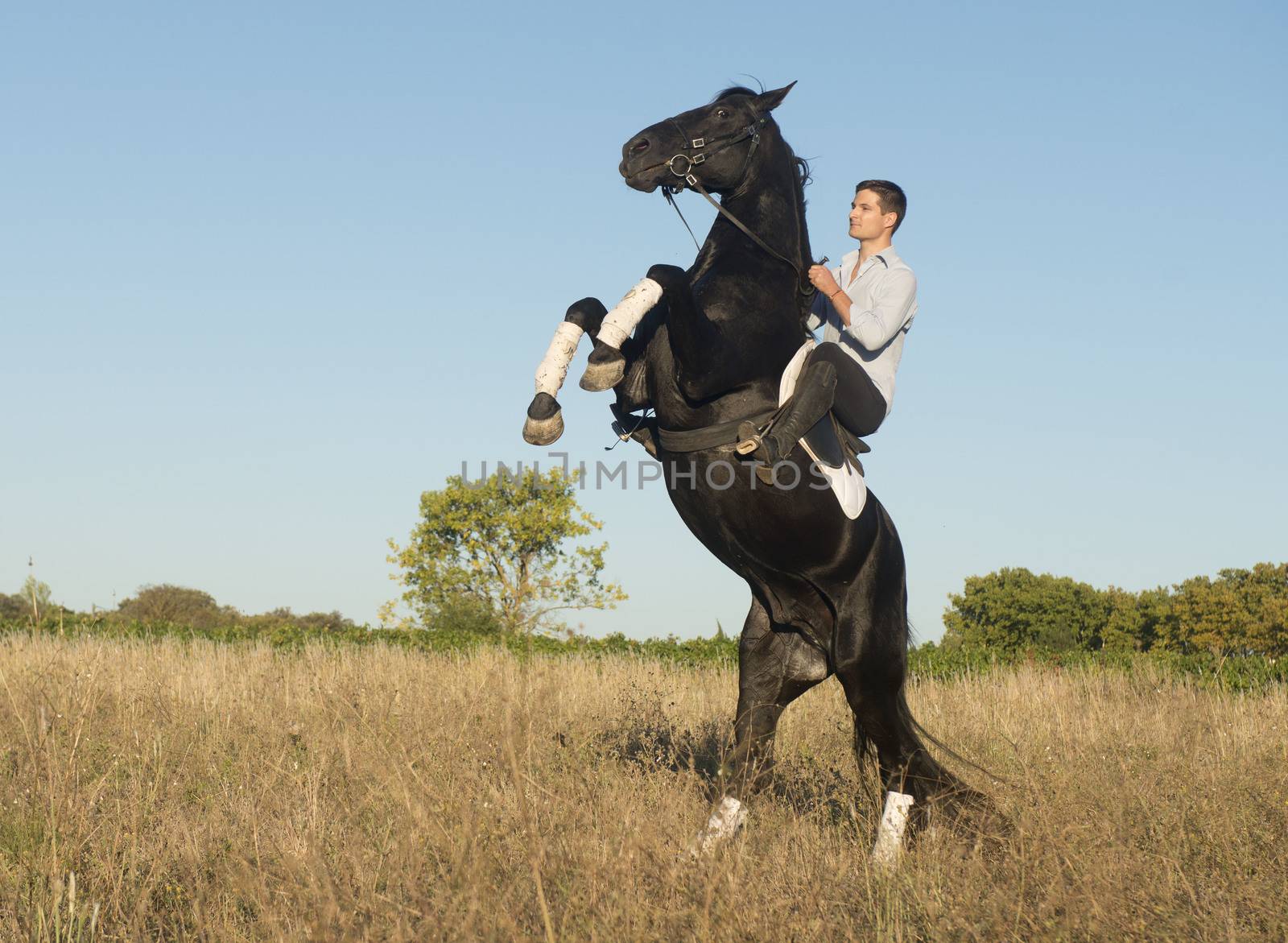 young man riding a black stallion in the nature