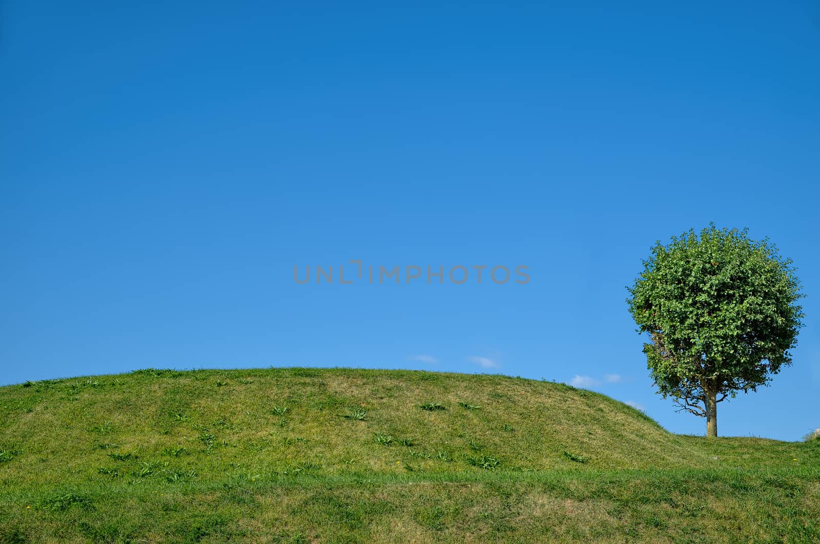 clear landscape with clouds and green field