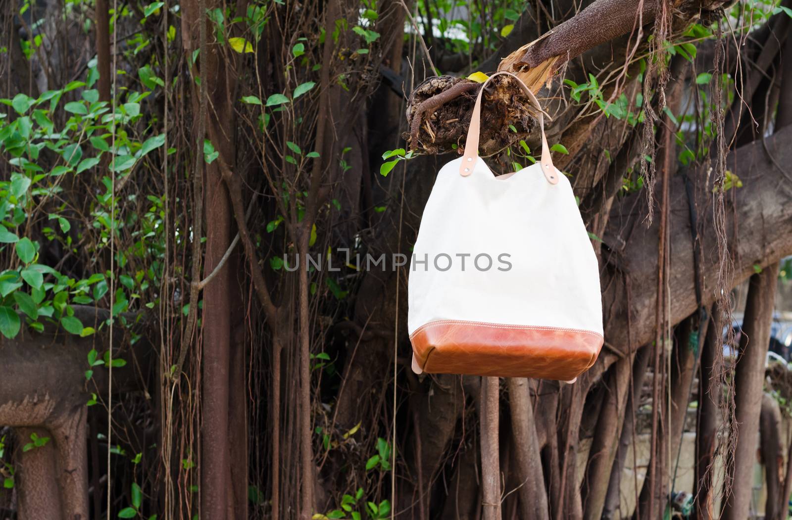 Fashion Leather Bags  hang on banyan branch, Nature background