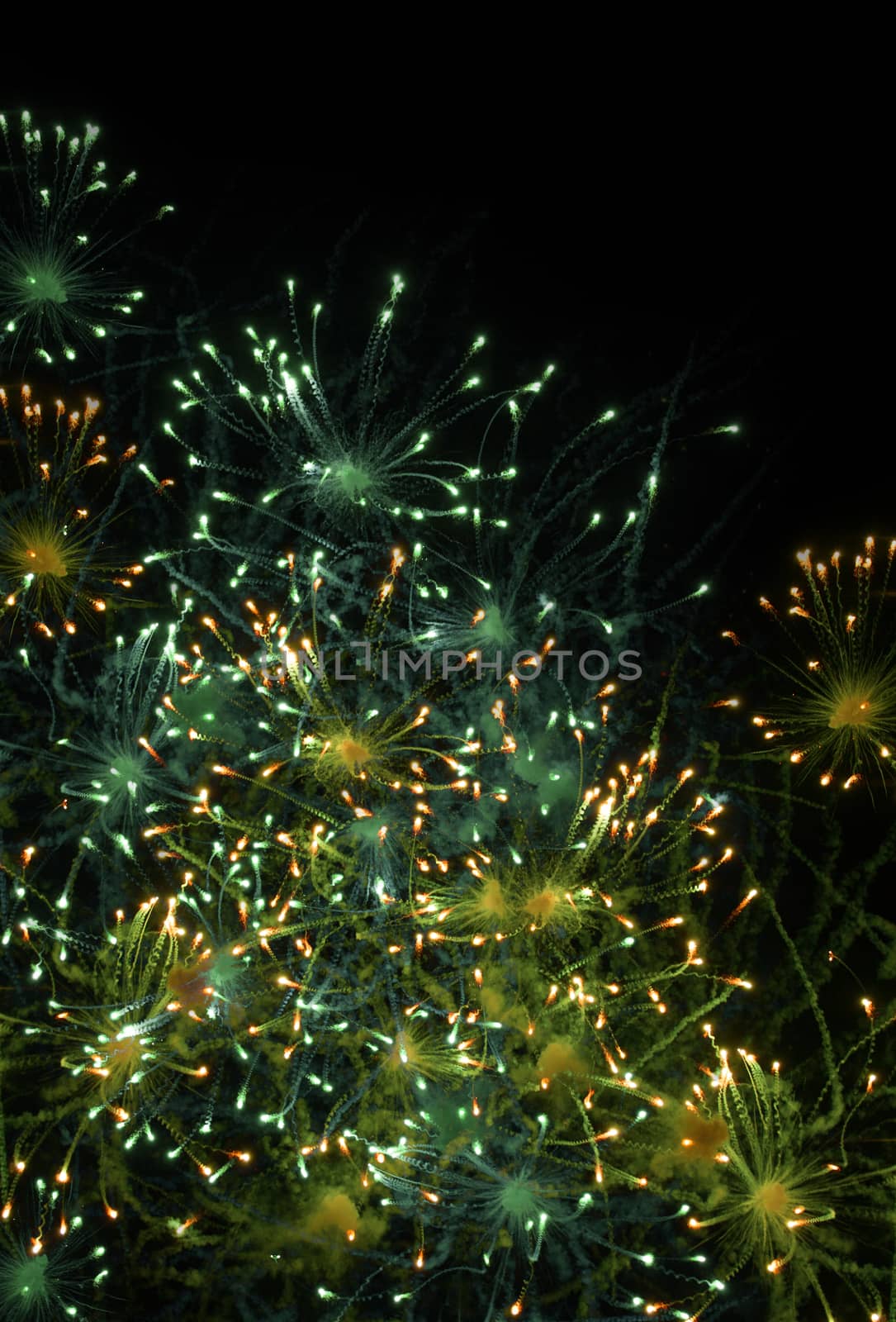 beatiful firework explosion in the night sky