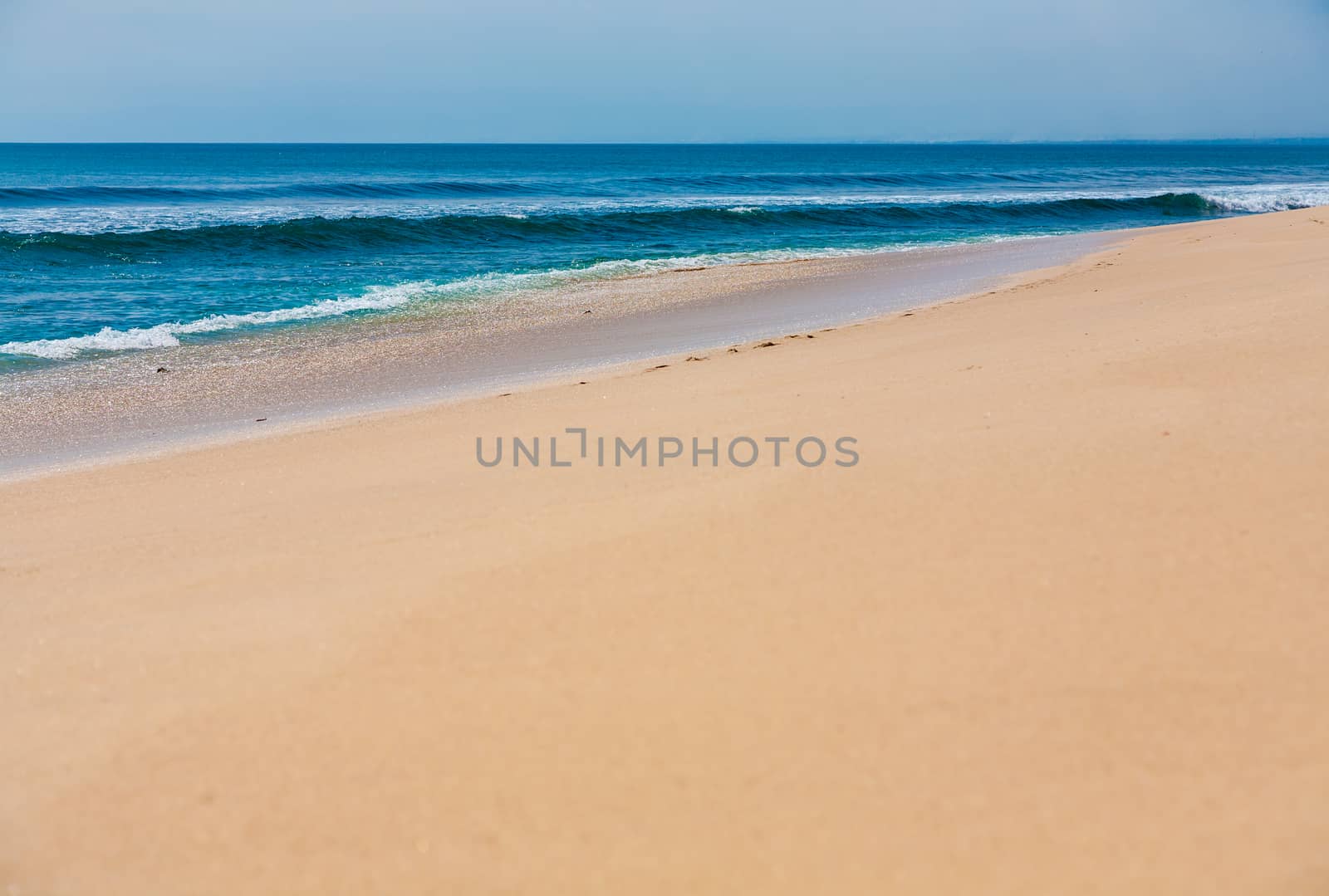 Beautiful surfing tropical sand beach on sunny summer day