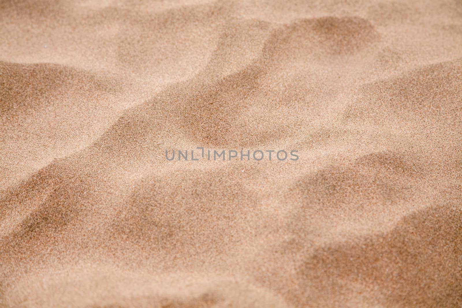 Sand beach texture or background. by Lizard