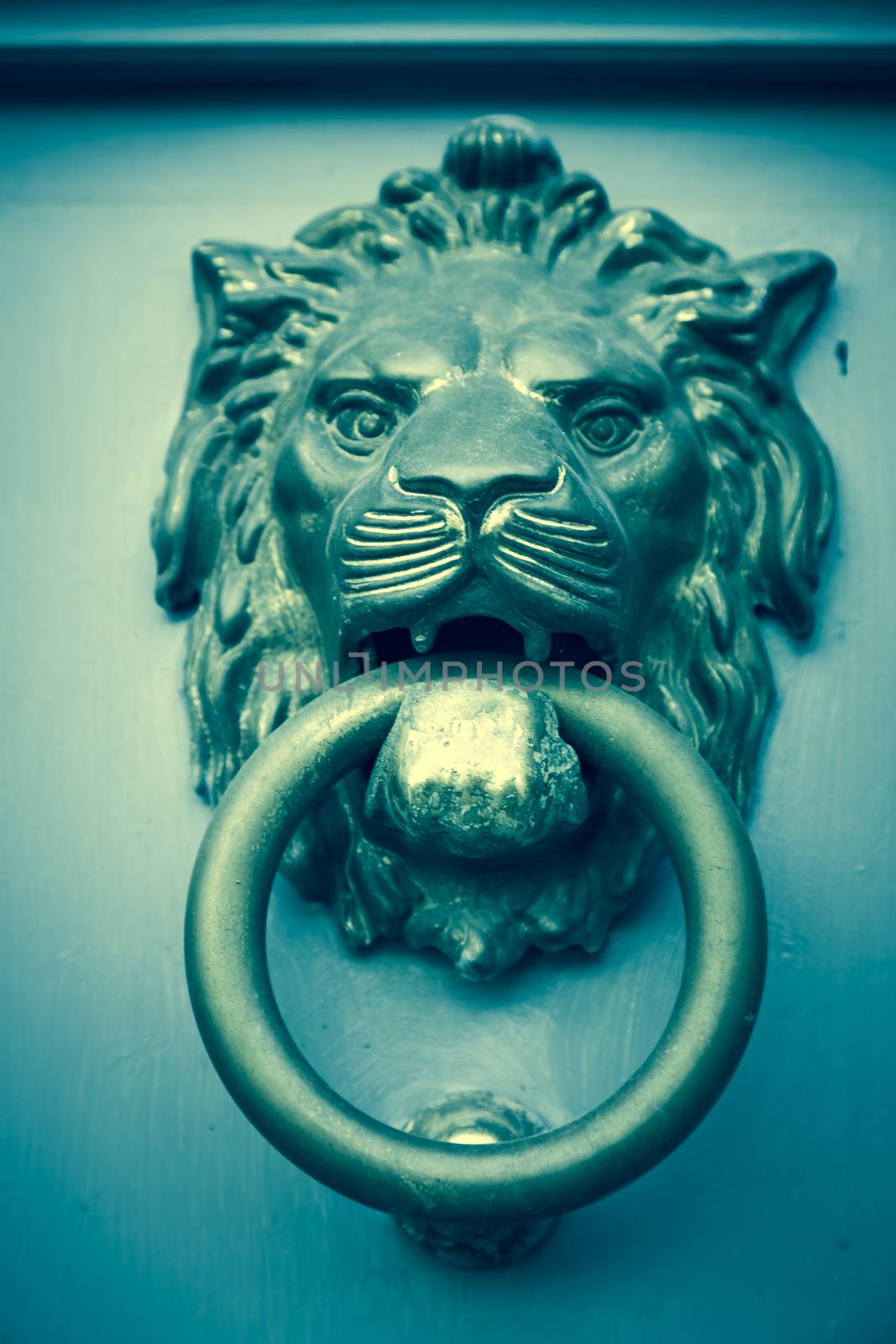 Lion's head door knocker by Lizard