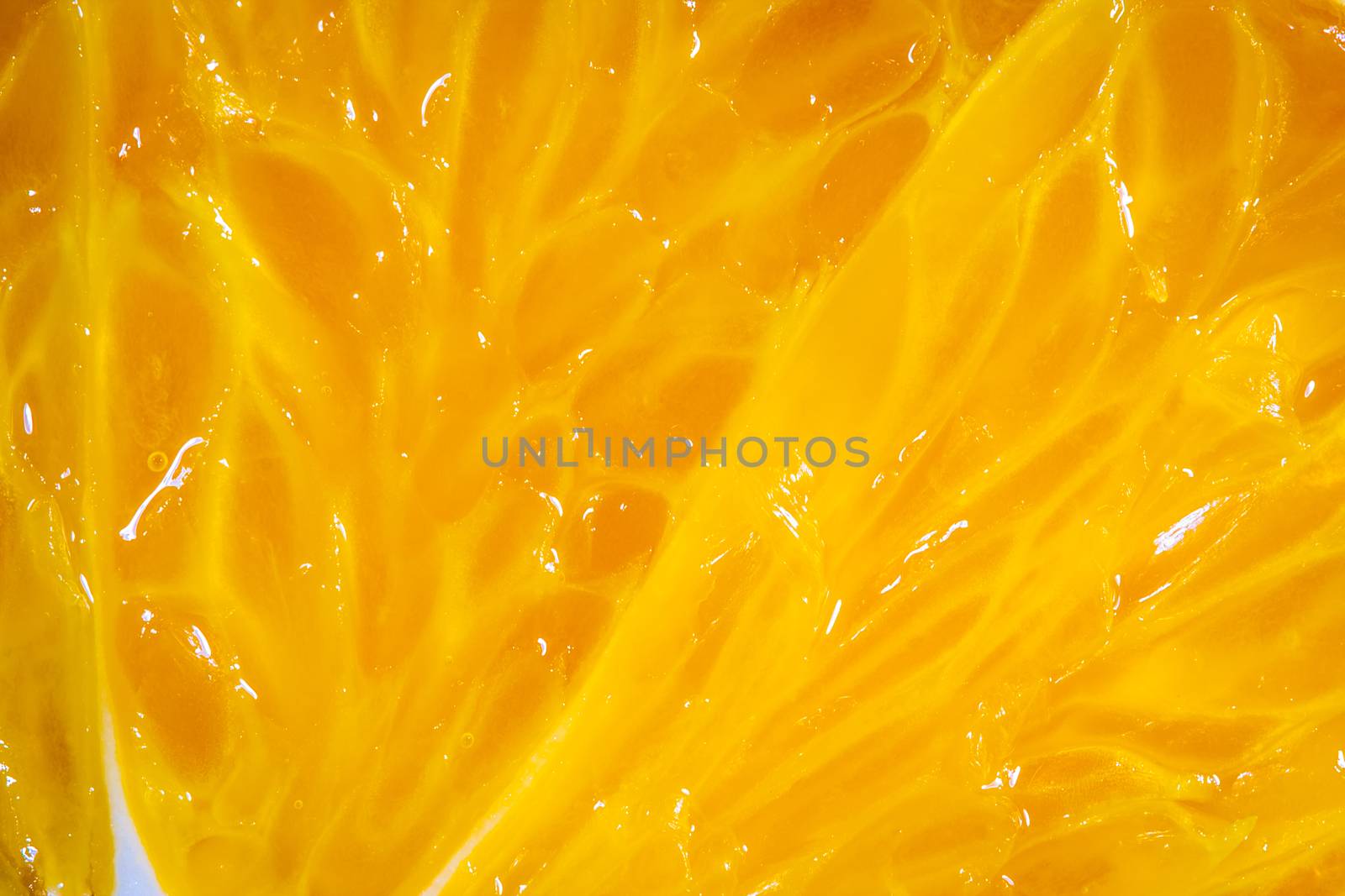 Fresh Orange slice close up by Lizard