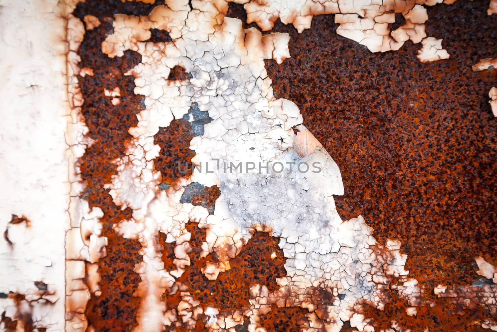 Grunge retro rusty metal texture or background by Lizard