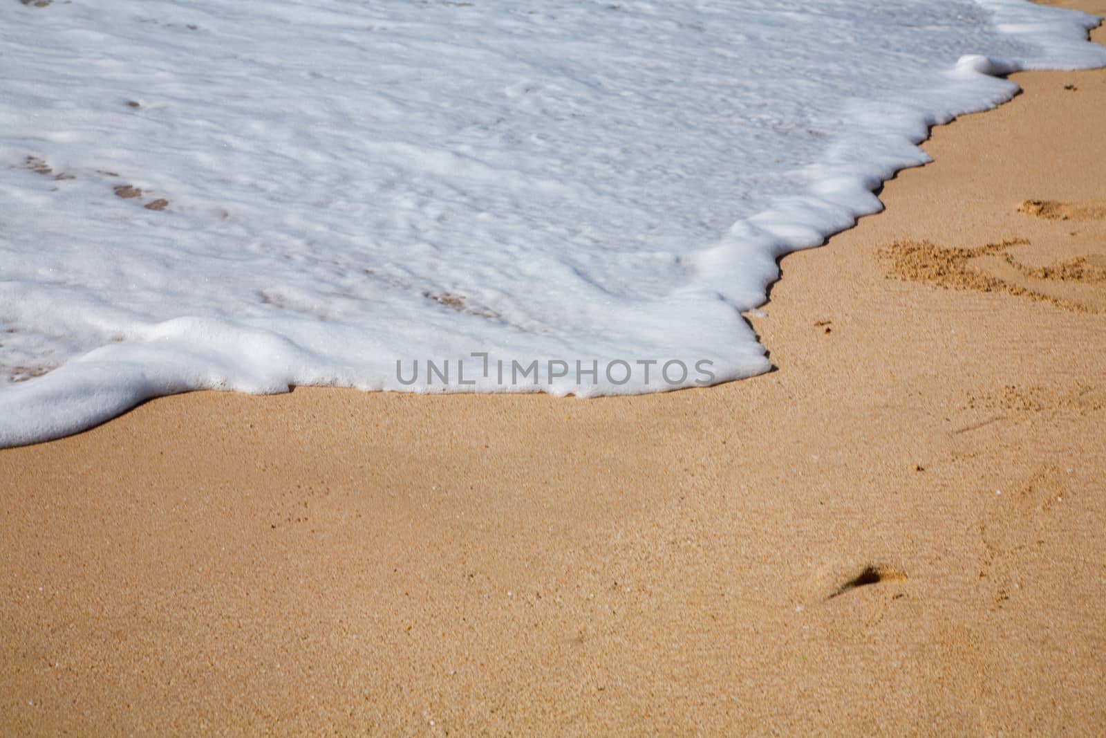 Beautiful surfing tropical sand beach by Lizard