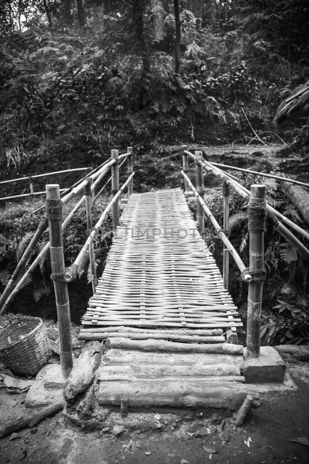 The bamboo  bridge in Indonesian rain forrest, artistic black and white photo