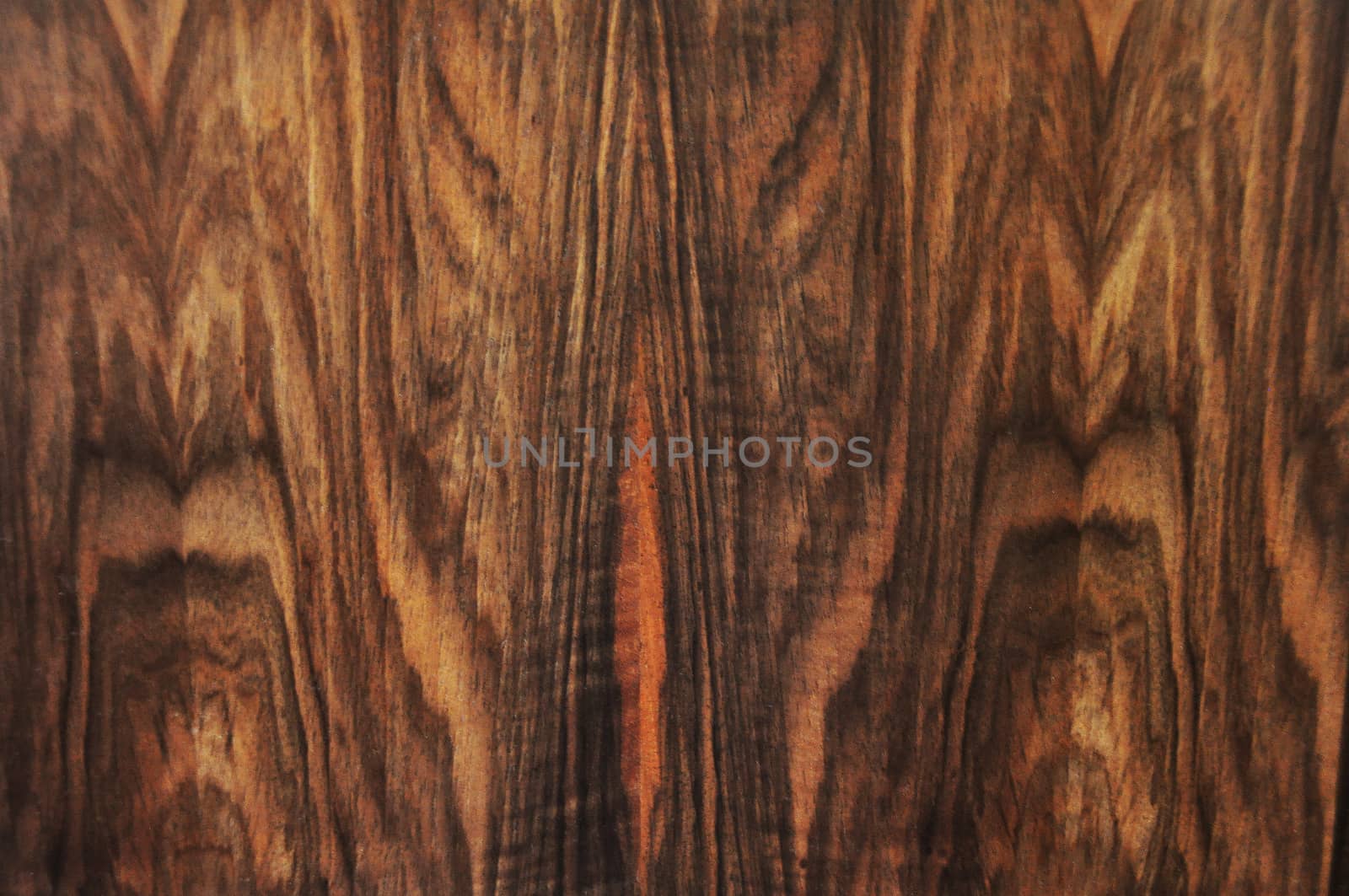 walnut wood grain texture strong by AlessandraSuppo