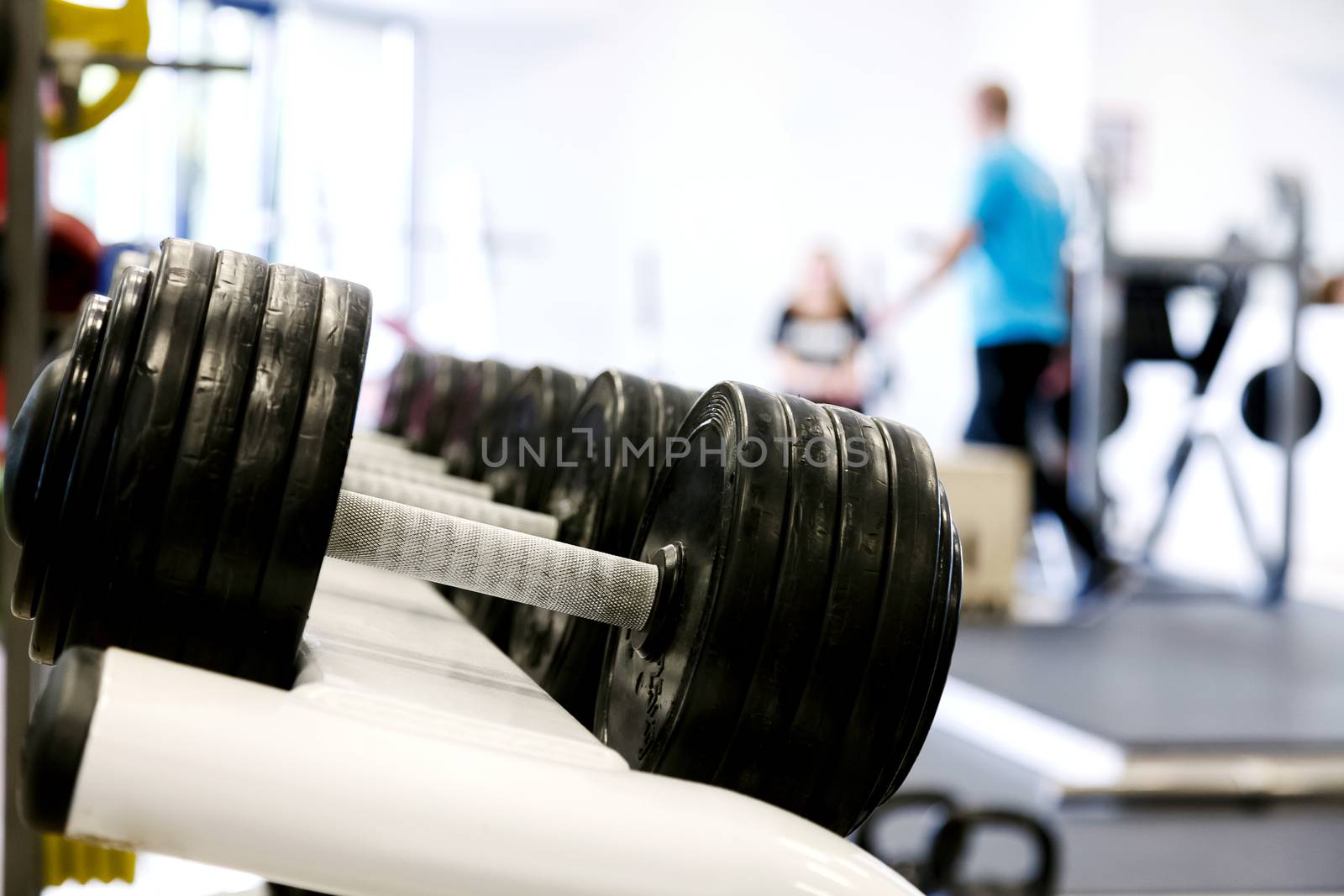 Dumbells in a gym by Nobilior