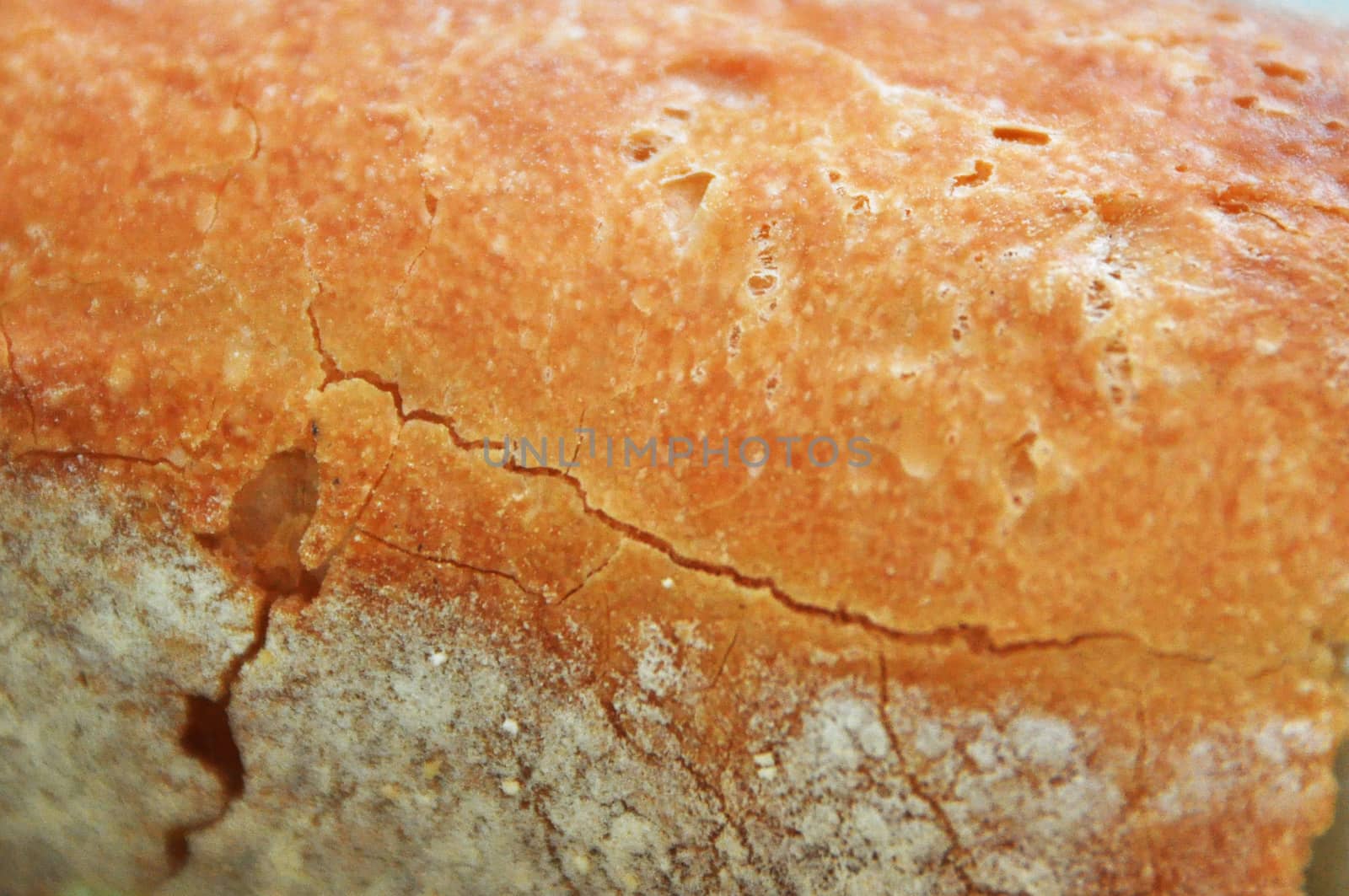 texture crust of hard bread in detail