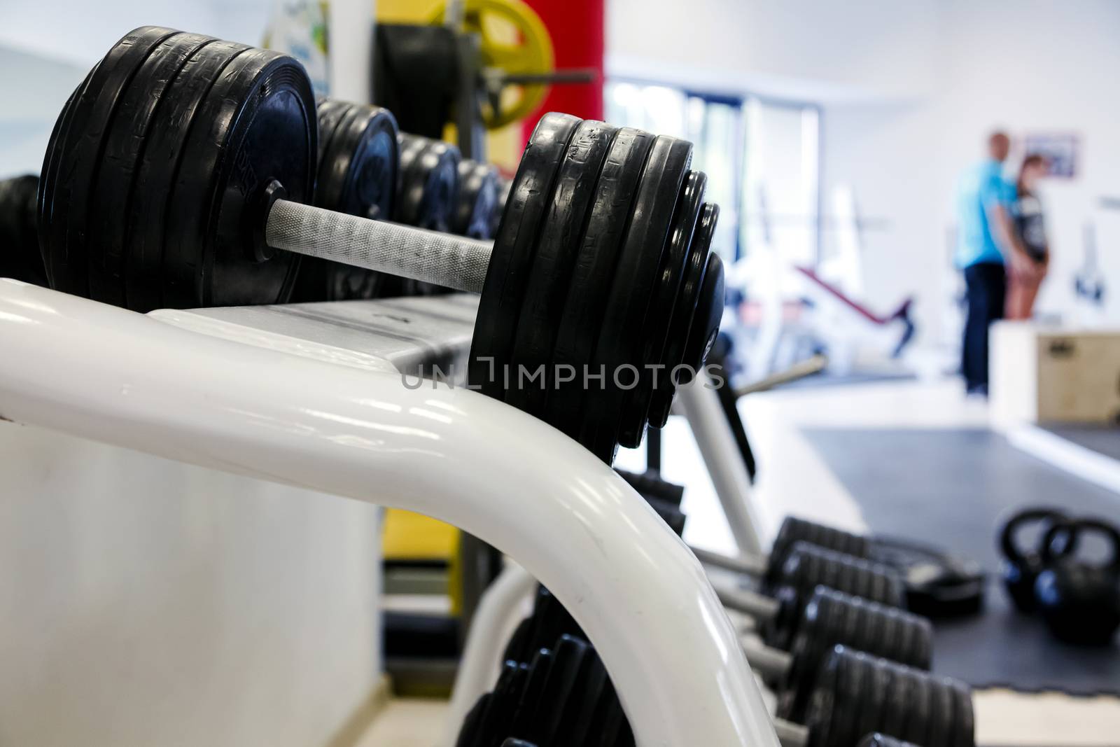 Dumbells in a gym by Nobilior