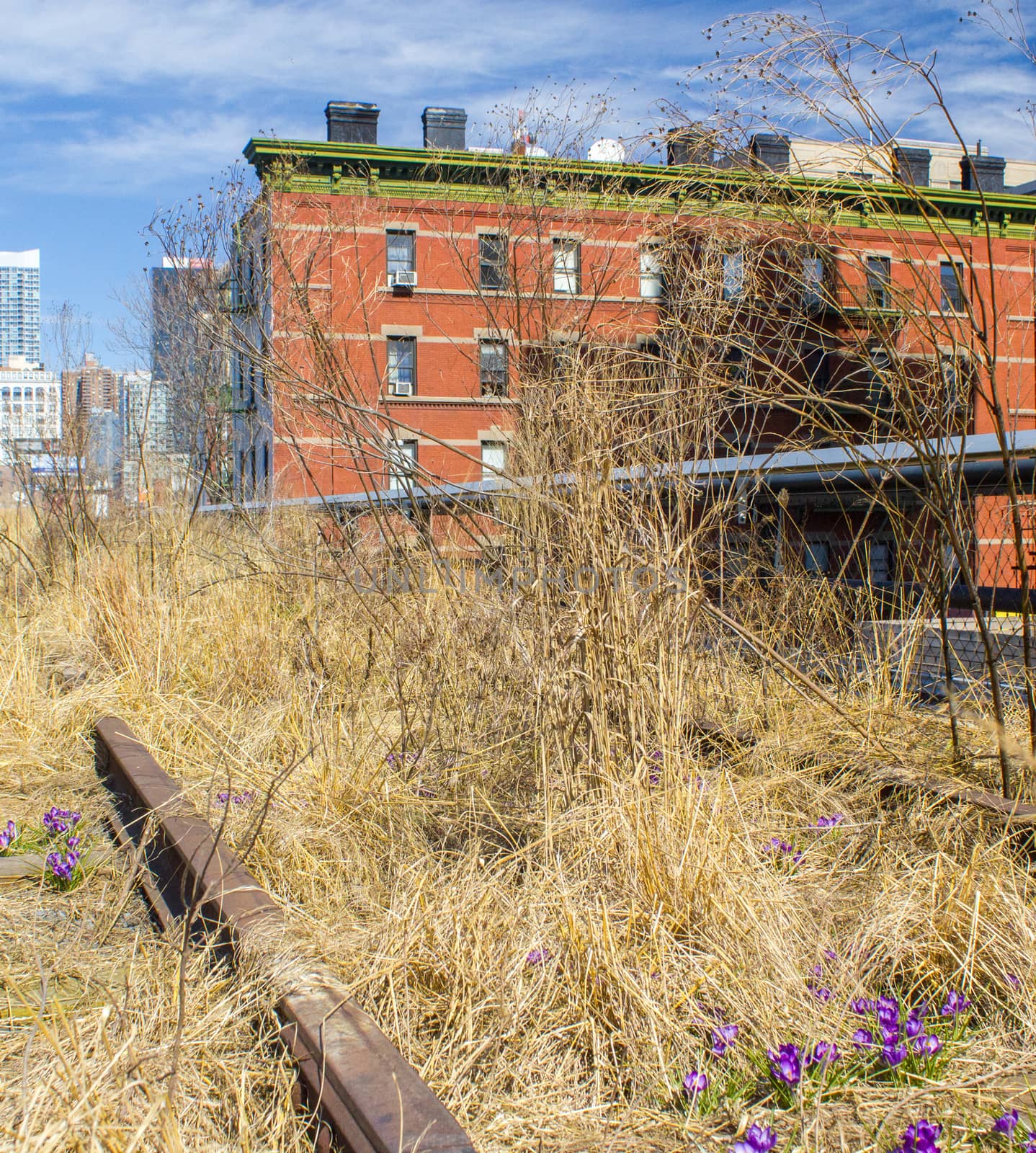 Colors of High Line in autumn. Urban public park on an historic freight rail line - Manhattan - New York.