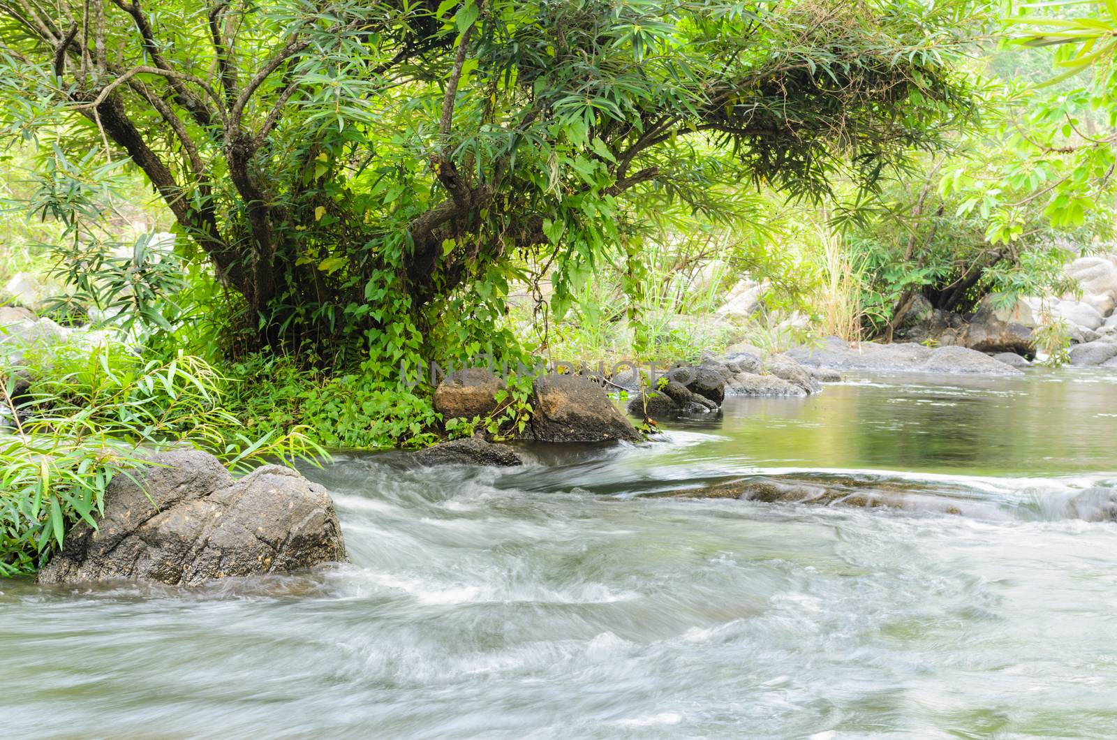 Streams in forest at Kaeng Som Maw, Small waterfall at tropical forests in Ratchaburi Province of Thailand.
