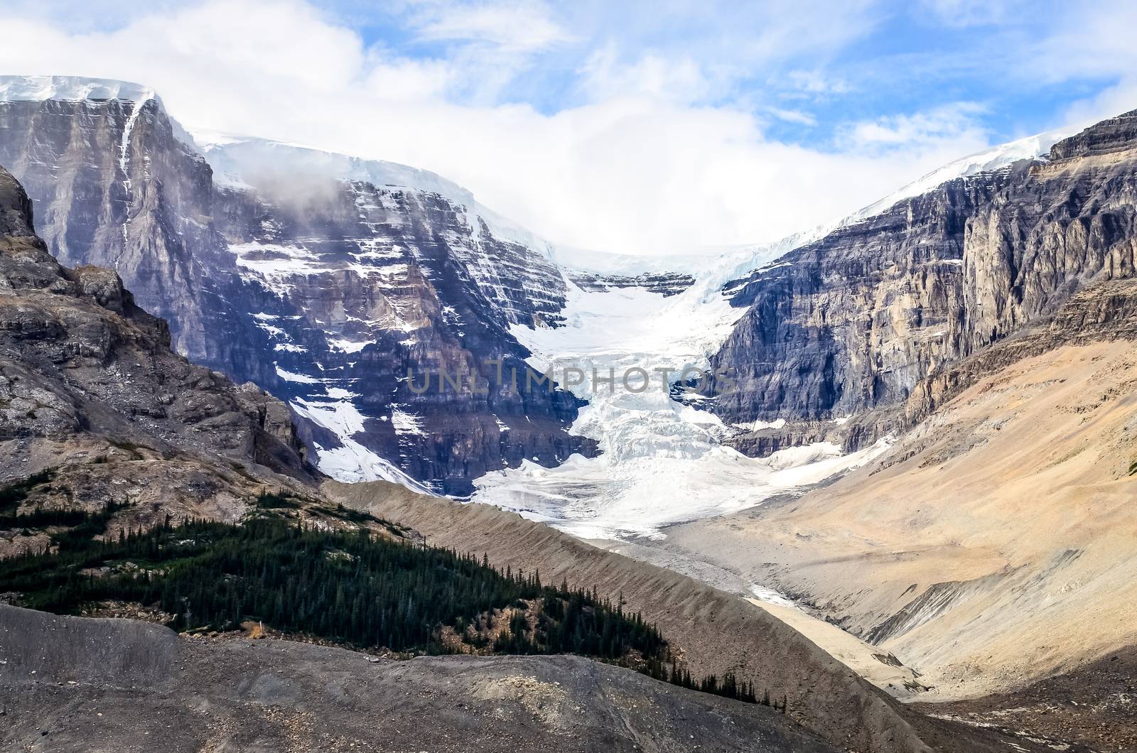 Landscape view of Columbia glacier in Jasper NP, Canadian Rockie by martinm303