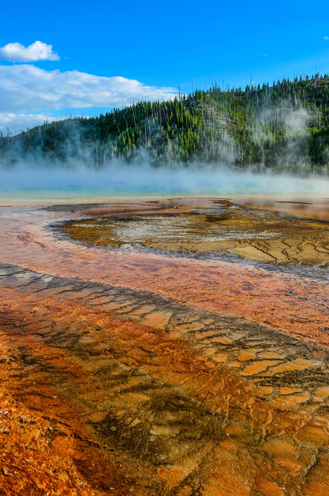 Detail view of Grand prismatic colorful hot spring, Yellowstone NP, Wyoming, USA