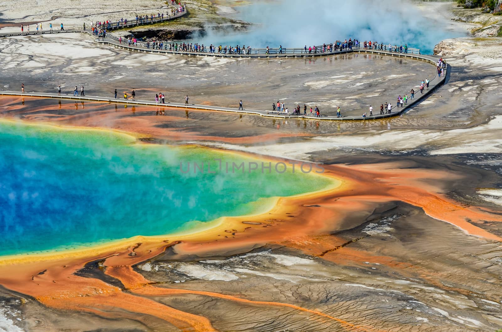 Detail view of Grand Prismatic spring in Yellowstone NP by martinm303