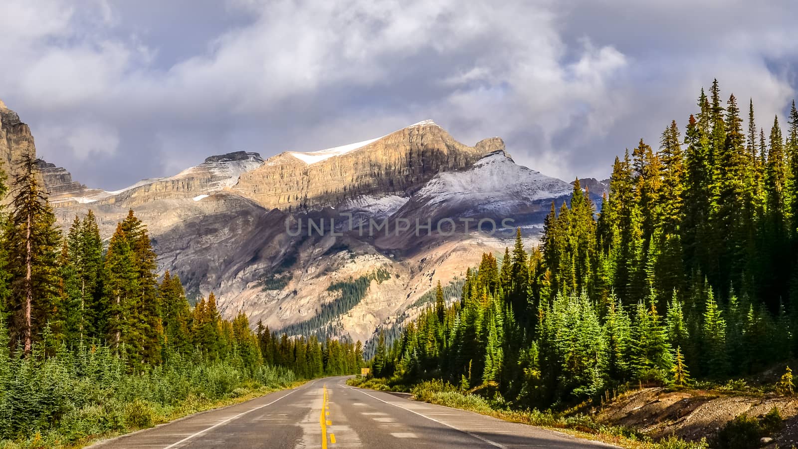 Scenic view of the road on Icefields parkway, Canadian Rockies, Canada