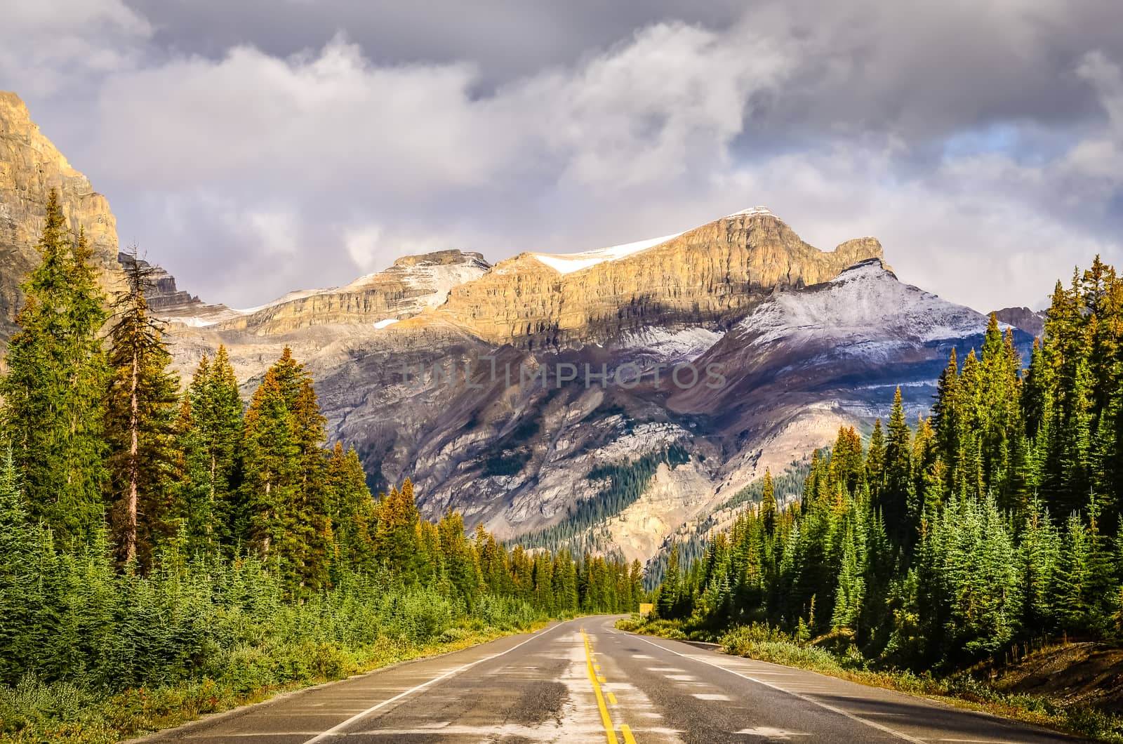 Scenic view of the road on Icefields parkway, Canadian Rockies, Jasper and Banff NP