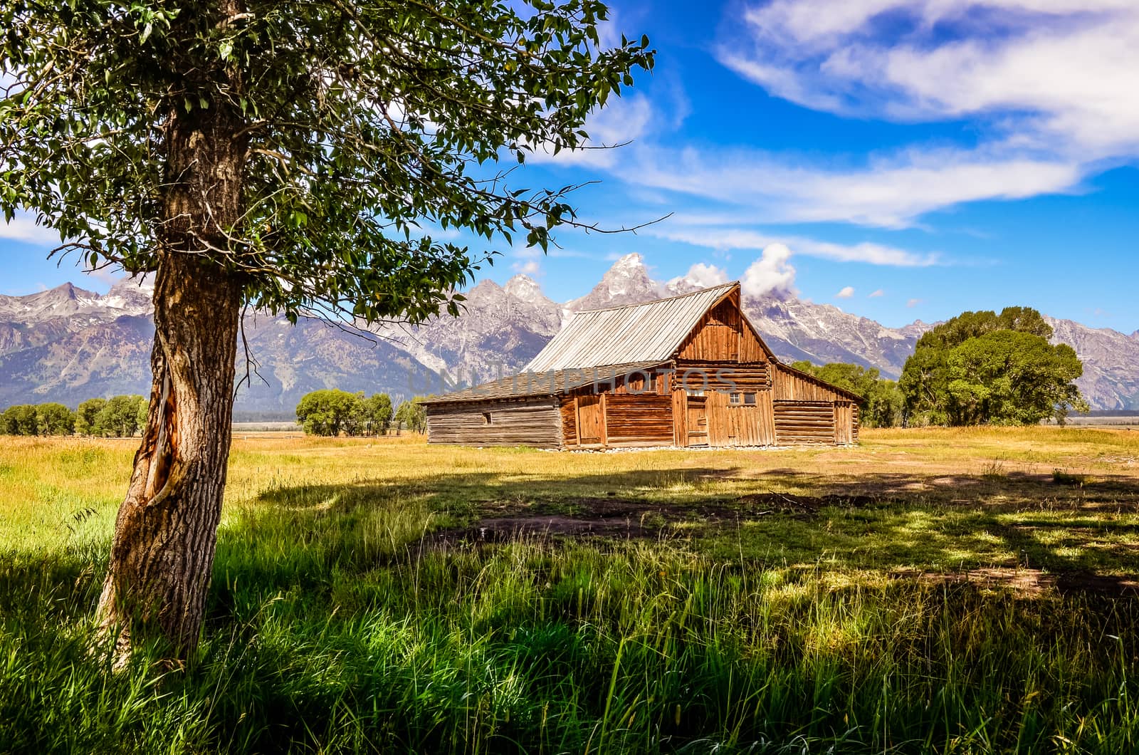 Scenic view of Grand Teton with old wooden farm and tree, Wyoming, USA