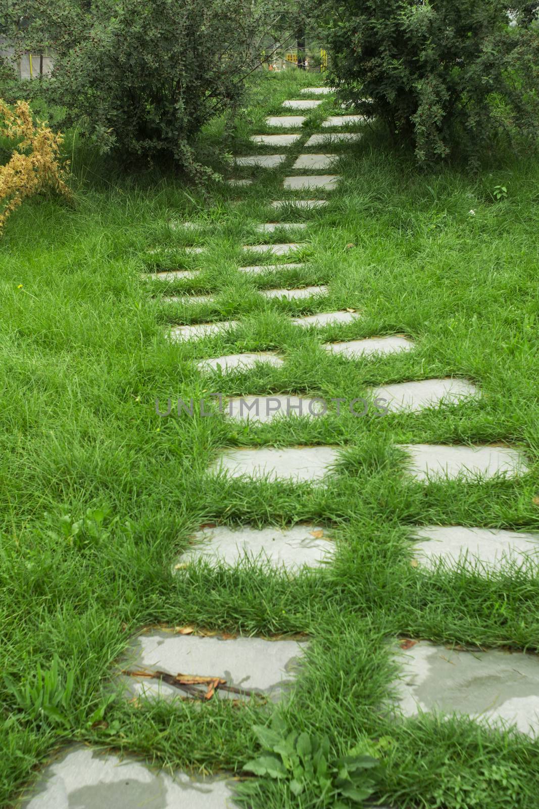 stone walkway on the grass in the park