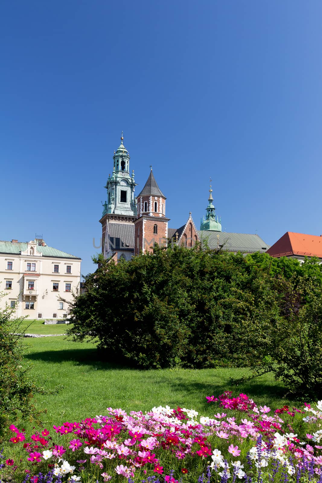 Wawel Cathedral on wawel hill in old town in cracow in poland