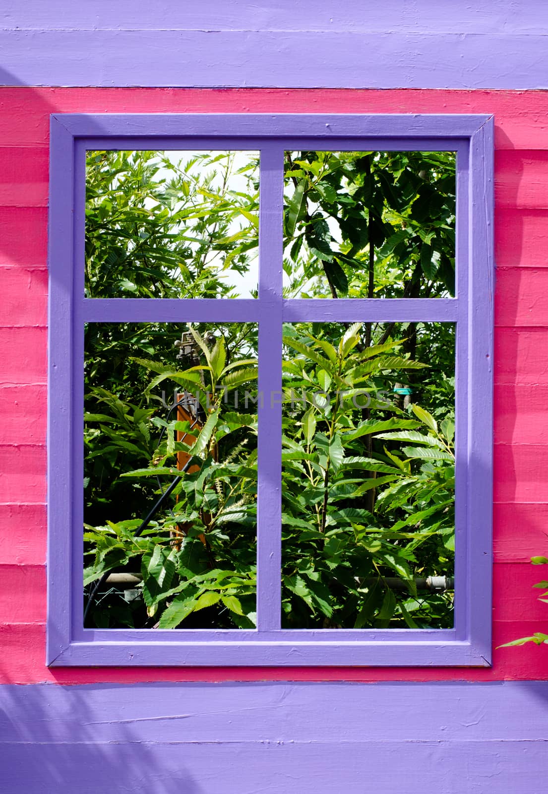window