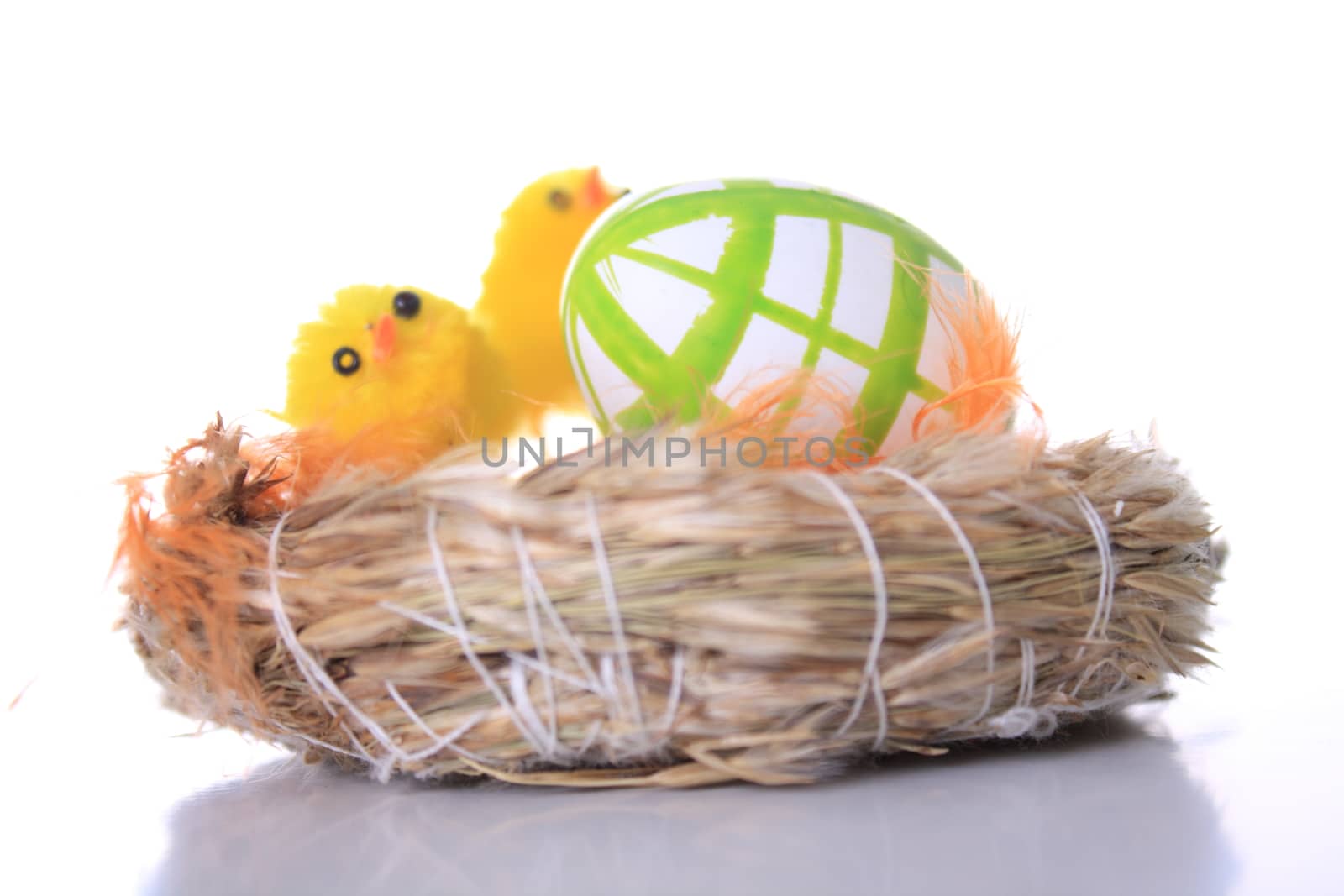 Easter nest with chicks, easter egg and feathers 