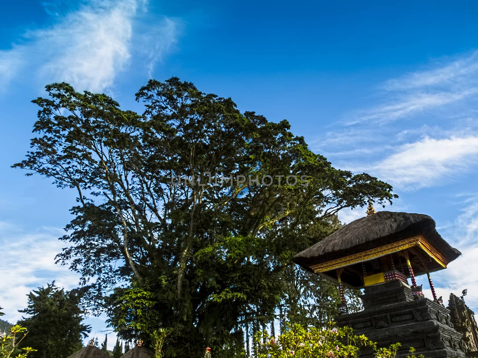 Traditional Bali Temple Under The Lush Green Tree at Ulan Danu Lake