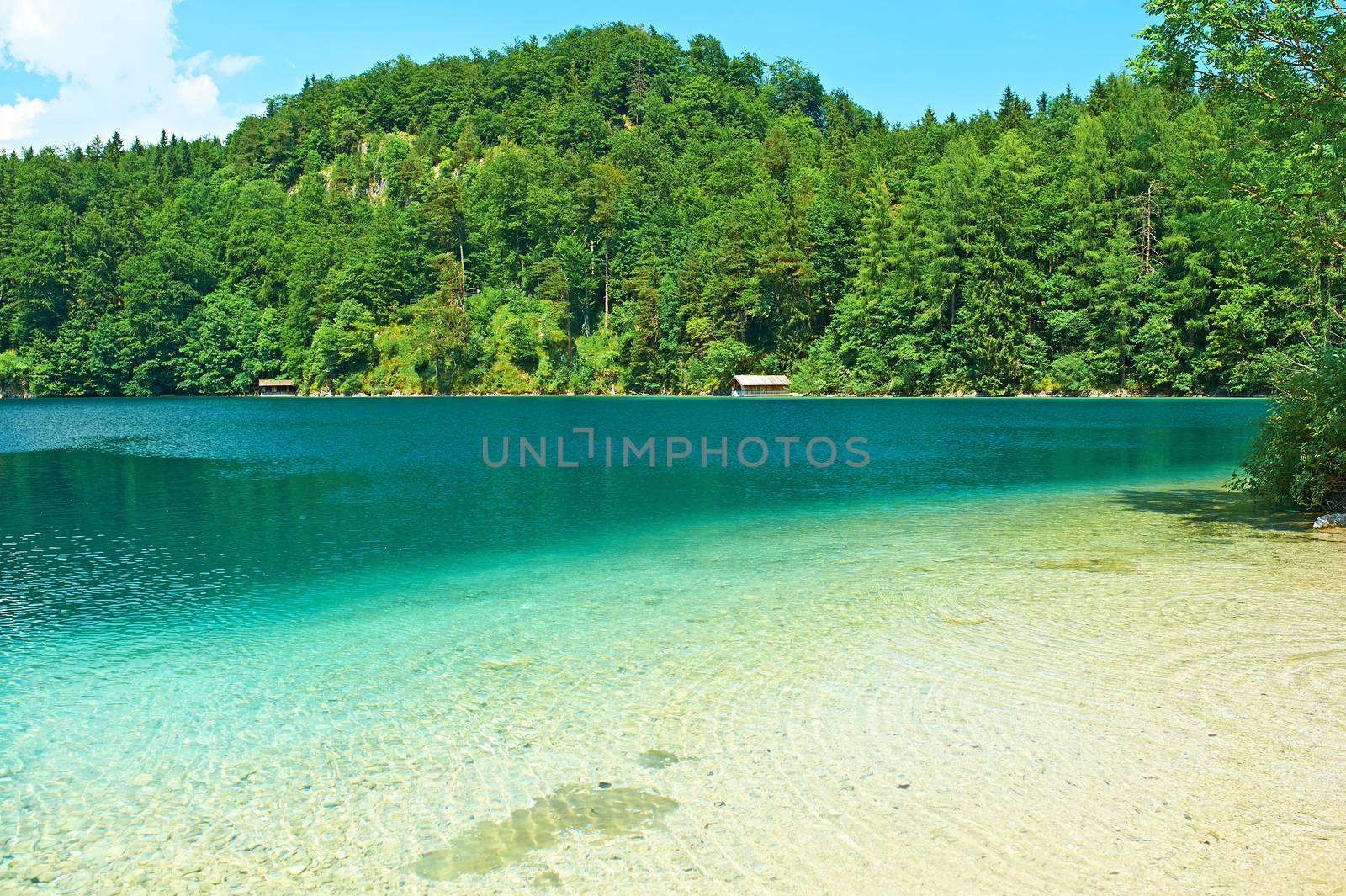 Alpsee lake at Hohenschwangau near Munich in Bavaria by haveseen