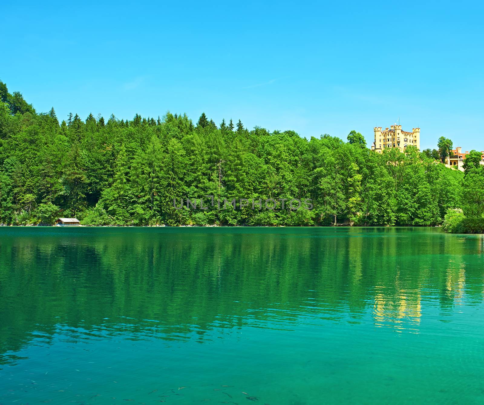 Alpsee lake at Hohenschwangau near Munich in Bavaria, Germany