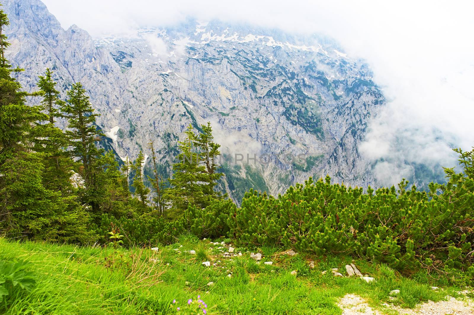 Bavarian landscape by haveseen